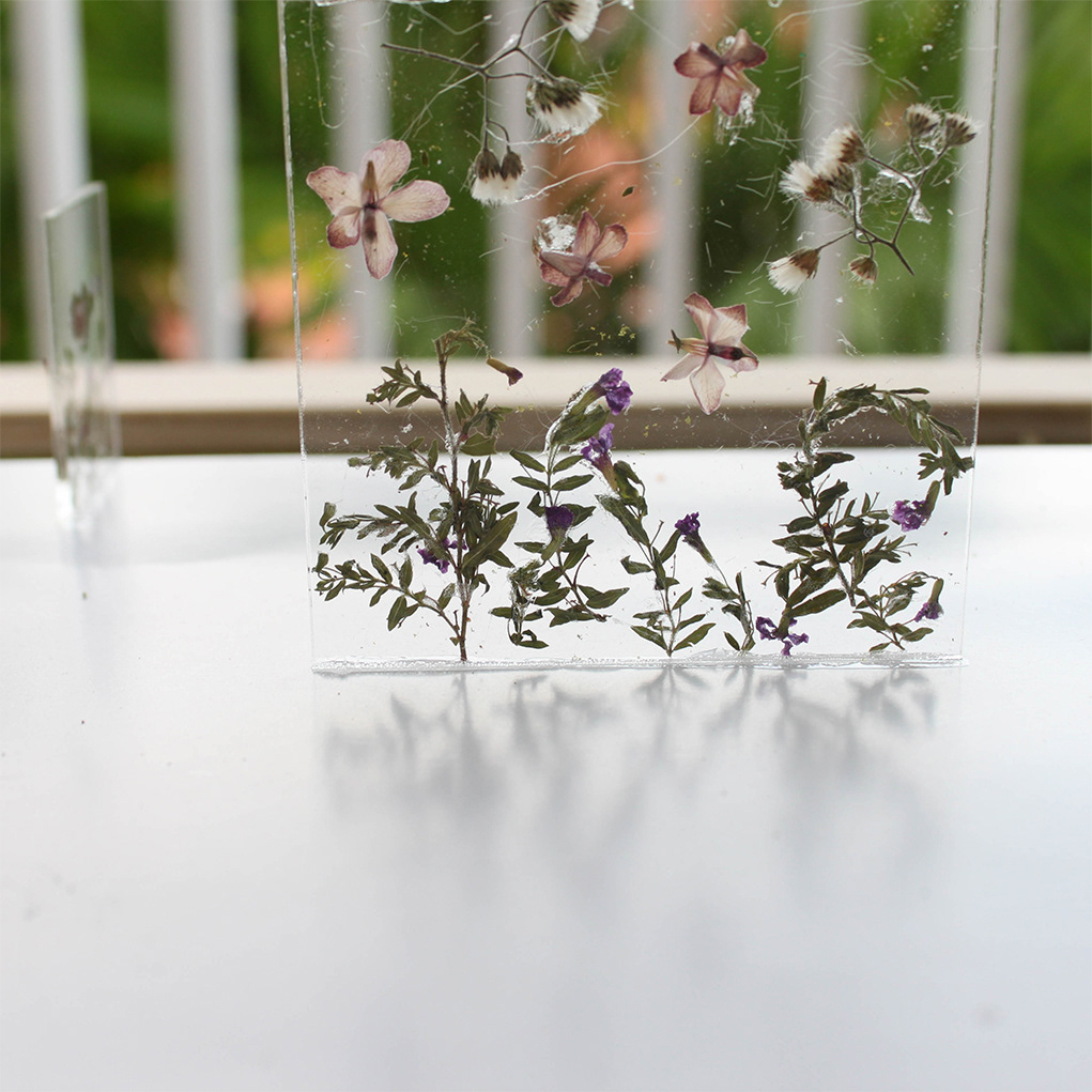 Dried Botanics in Glass Sreens Mock Up