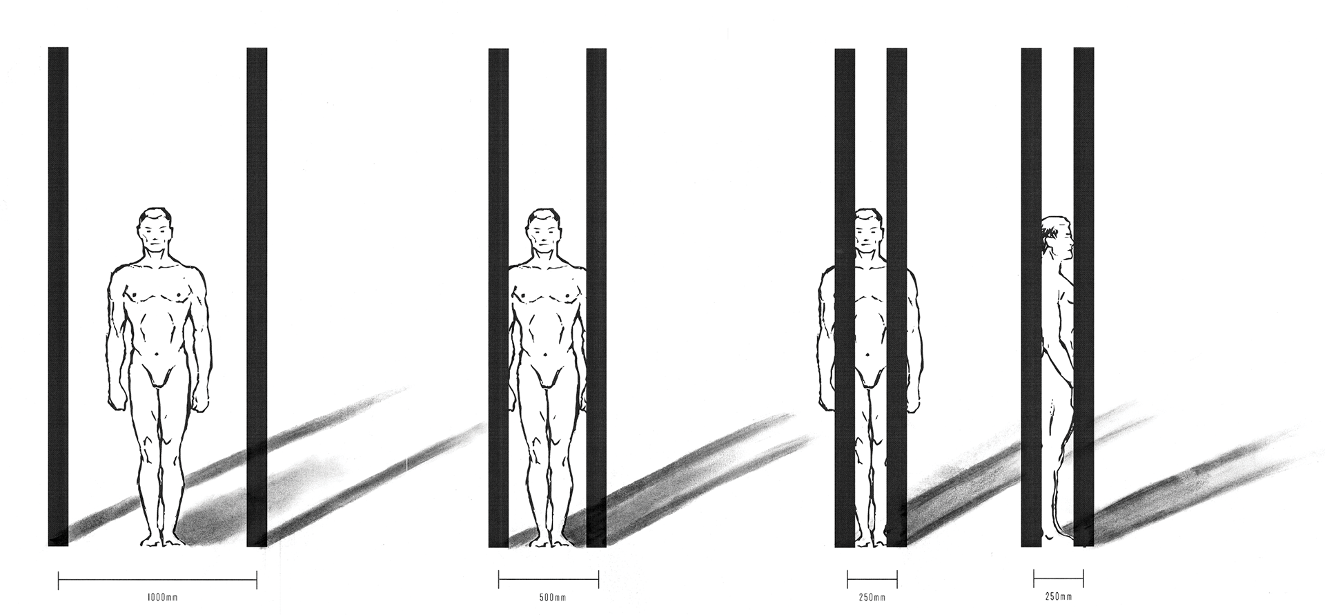 Anthropometry & Accessibility