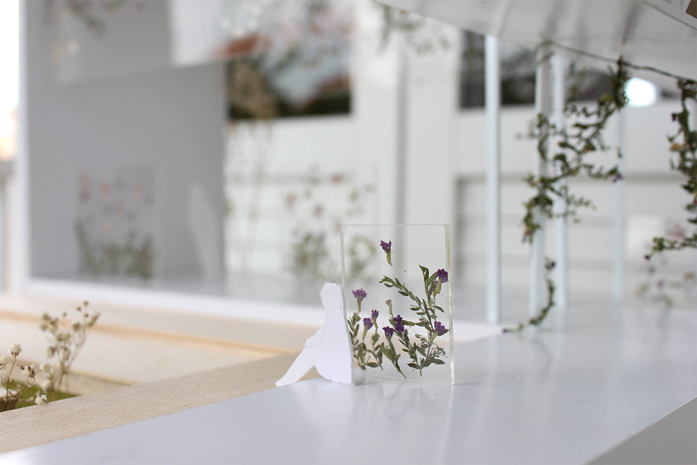 Dried Botanics in Glass Sreens Mock Up