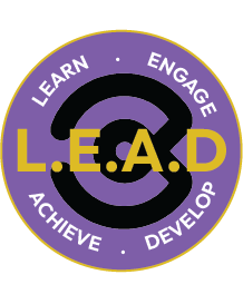 Badge design for people completing the Caroola Leadership Development Programme