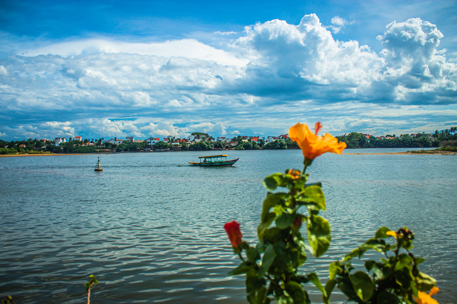 Flower by the River