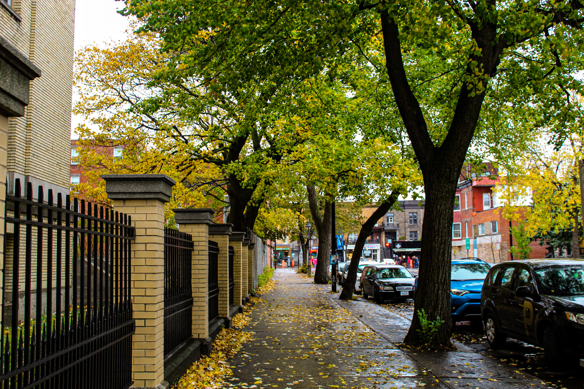 Fall in Montreal