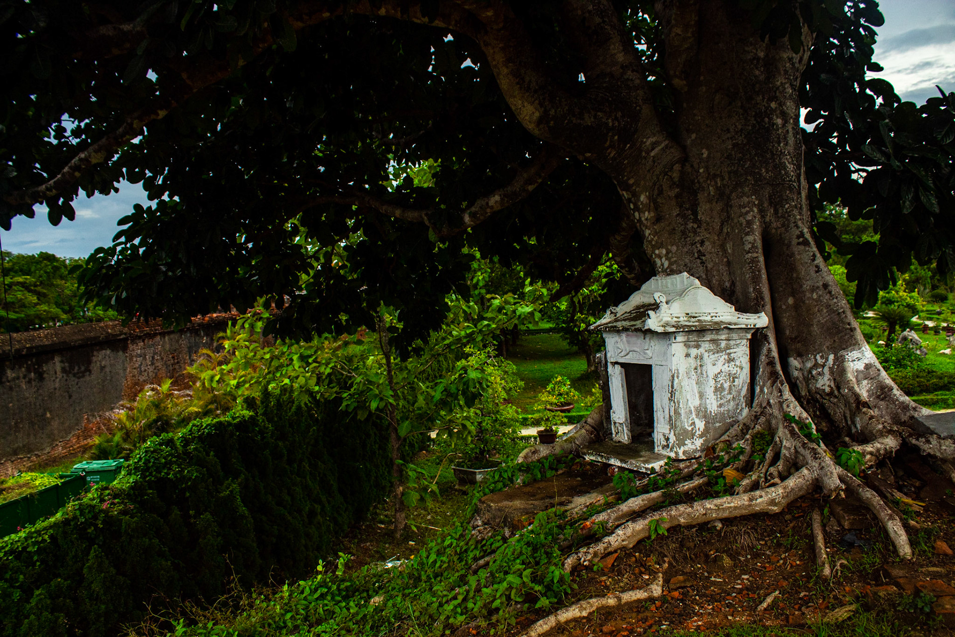 Tree-Wrapped Shrine