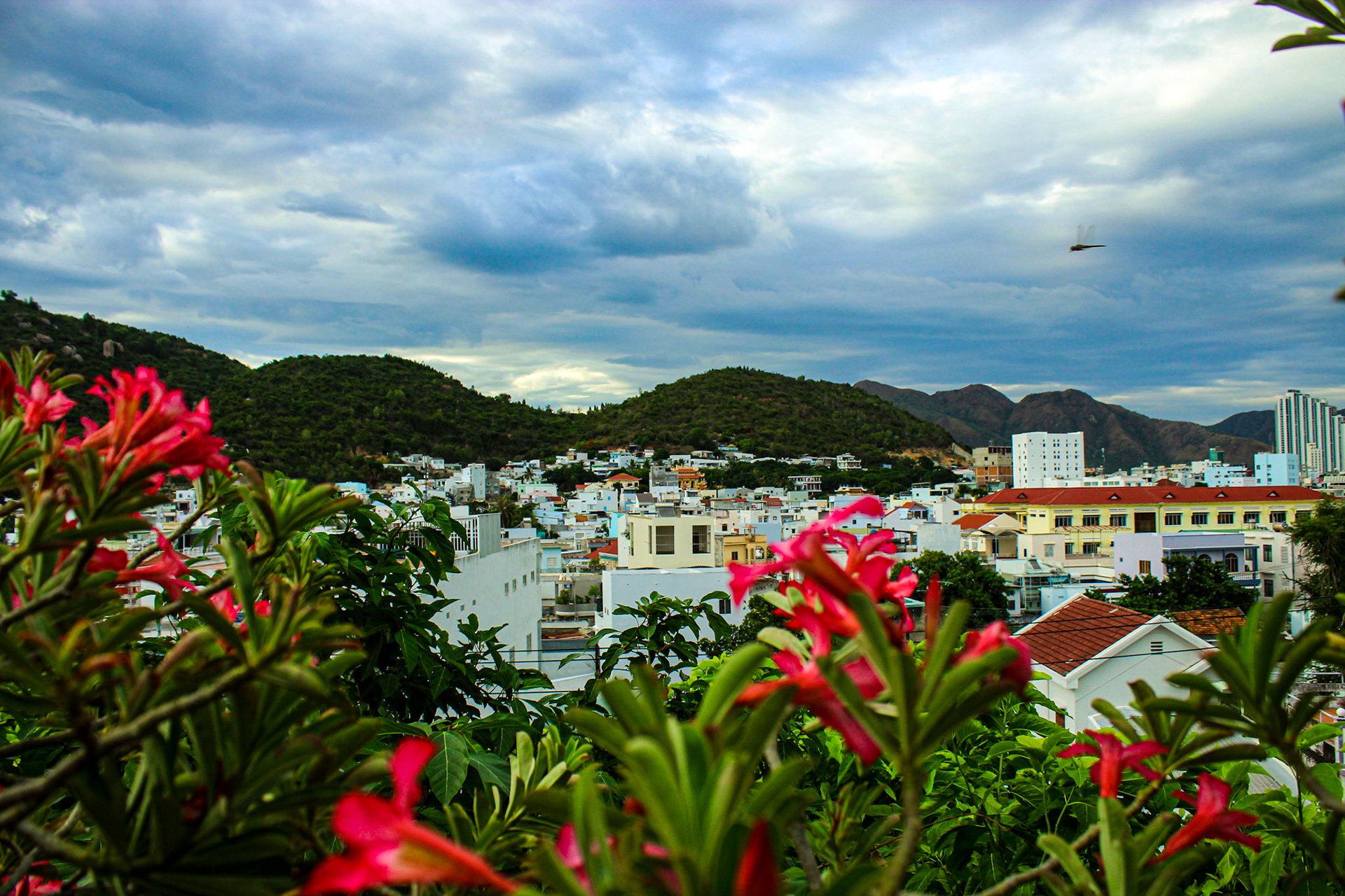 City View