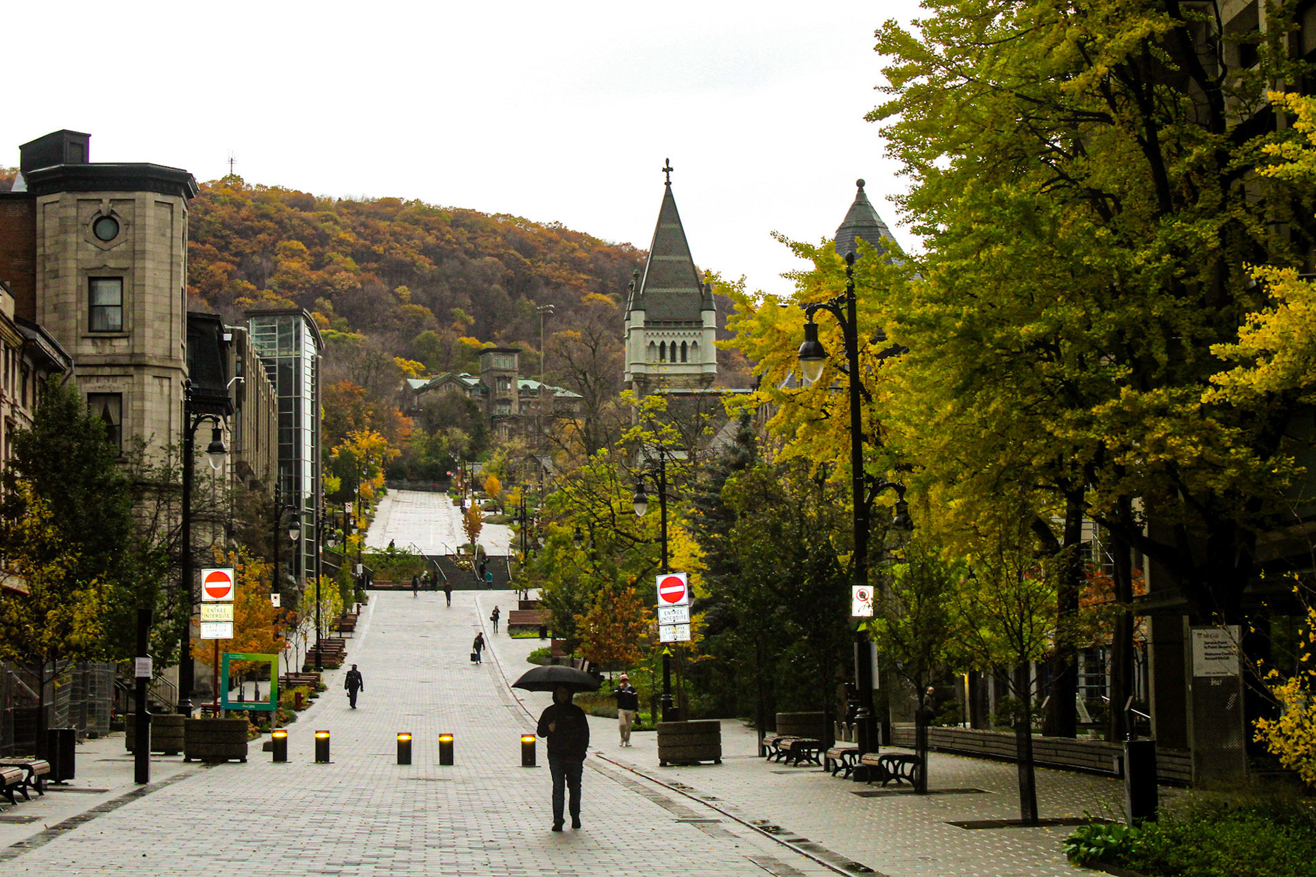 Montreal Streets