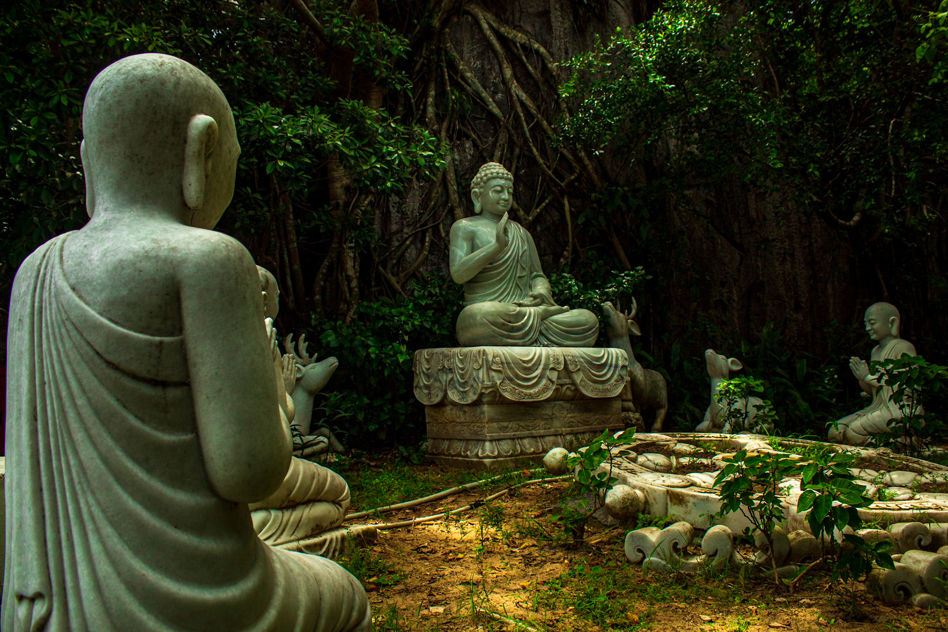 Meditation Circle