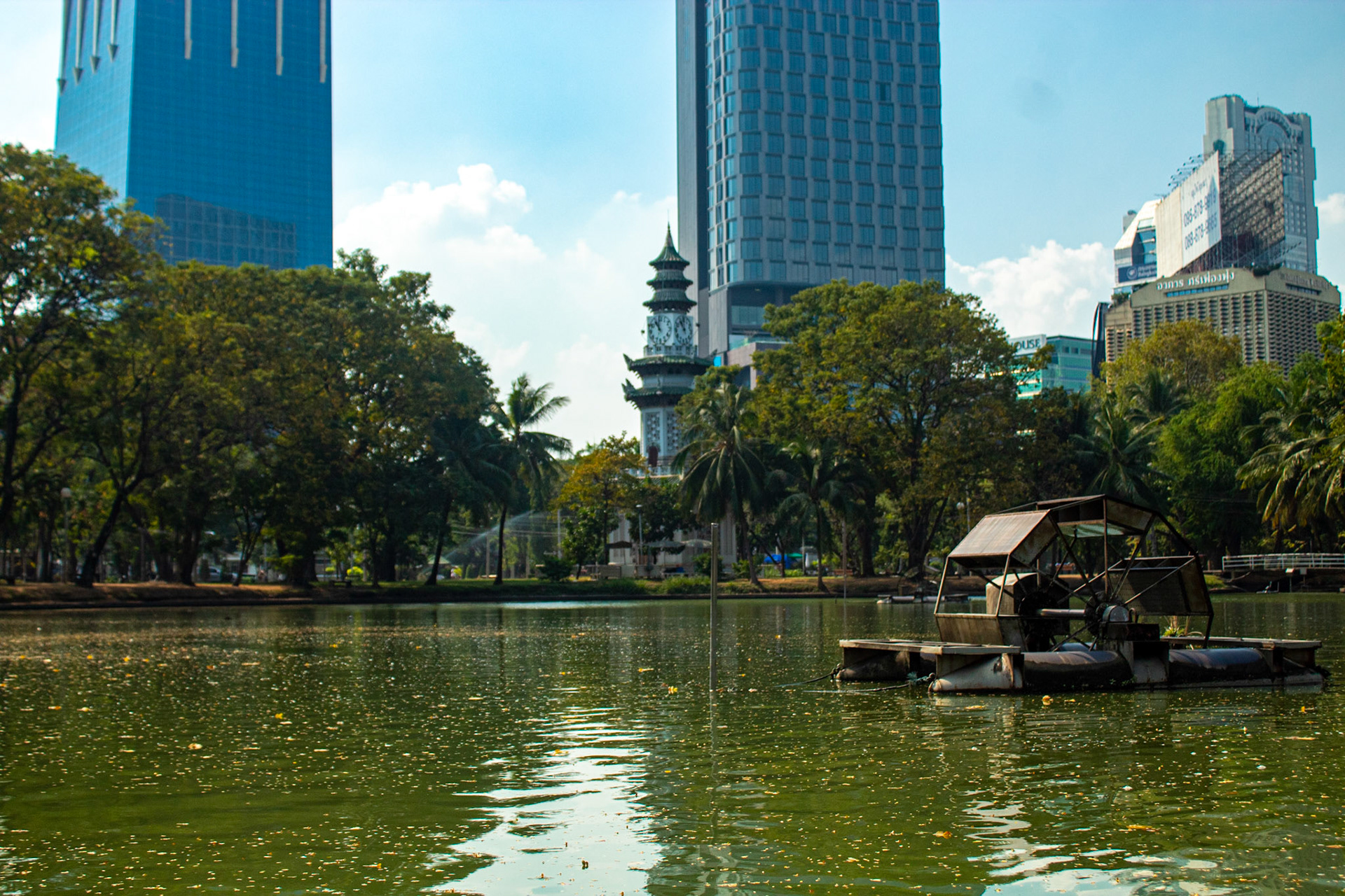 An Oasis in the Concrete Jungle