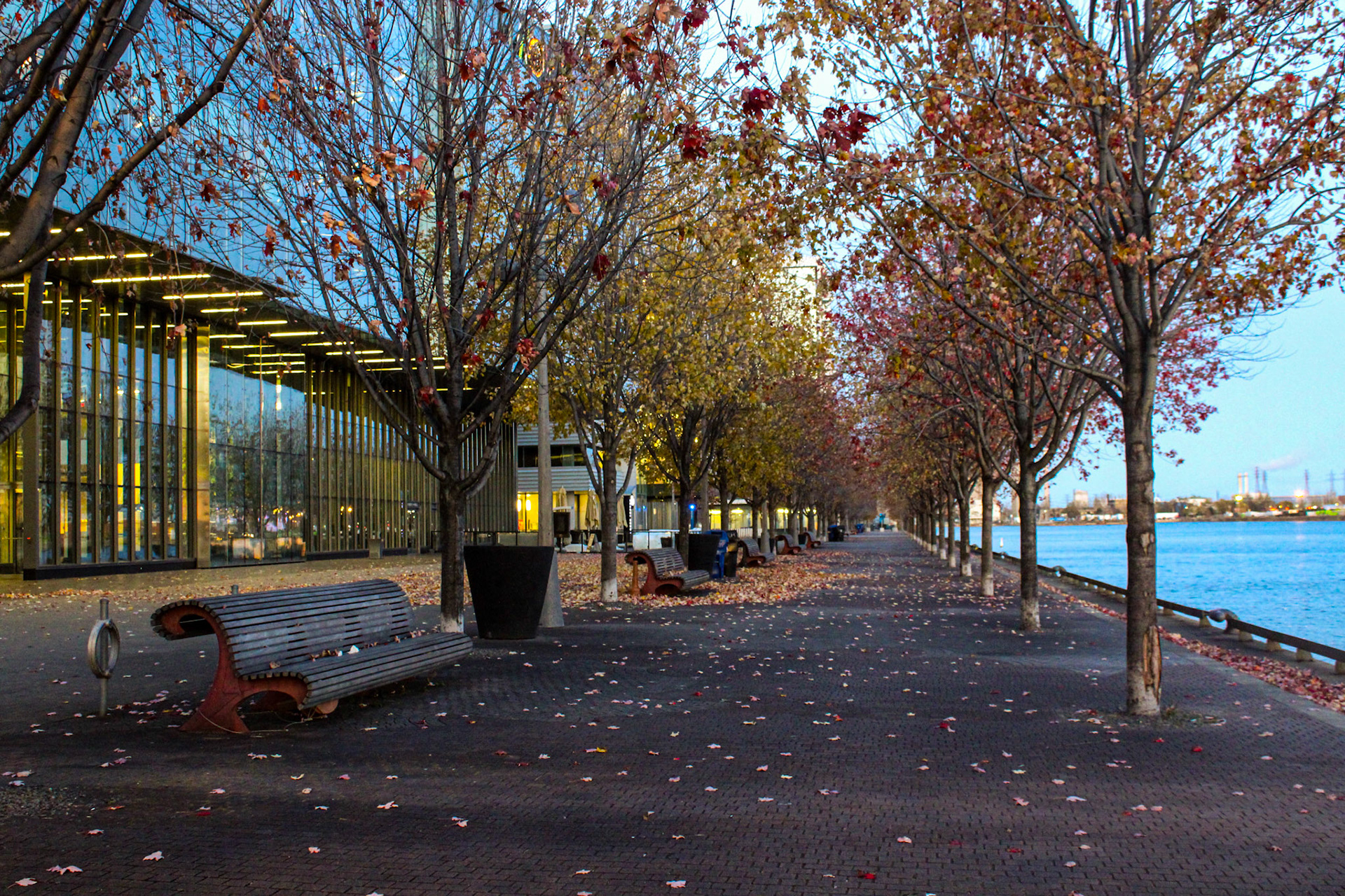 Fall in Toronto