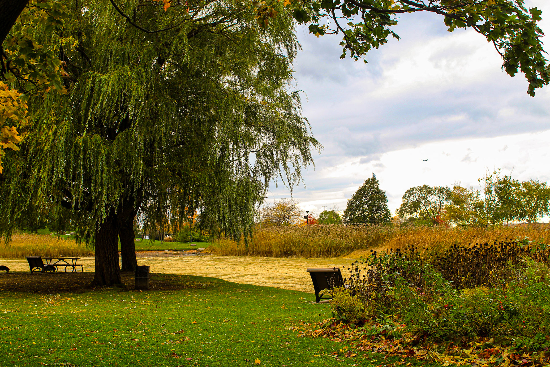 Walk in the Park