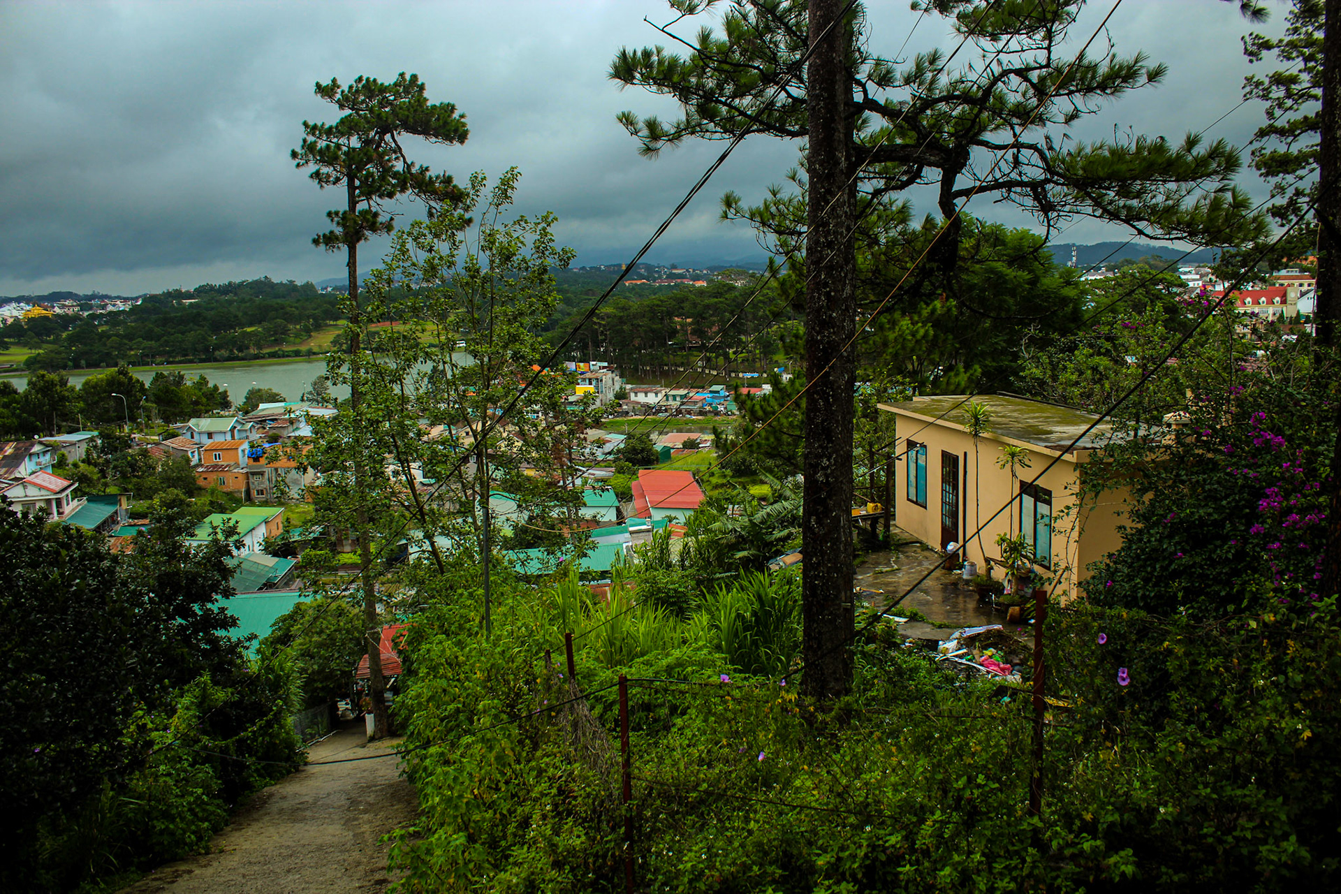 Colorful Houses