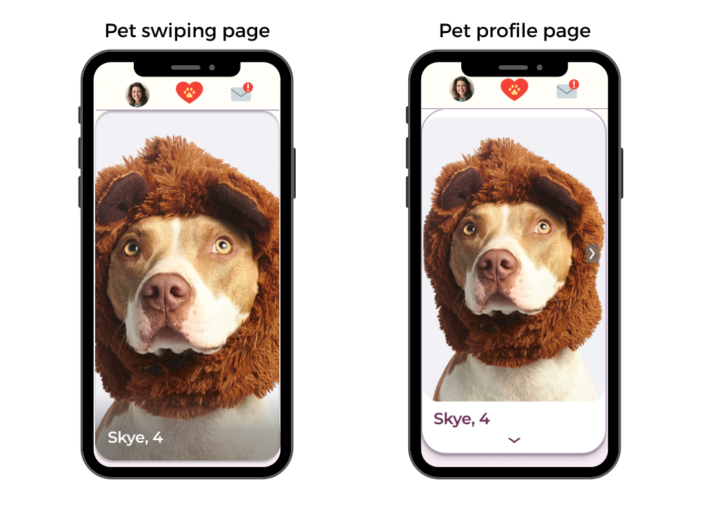 Pet swiping page and pet profile page mockups