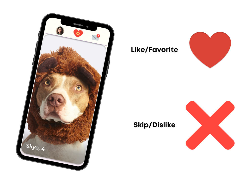 Mockup of pet swiping page with heart and x icons