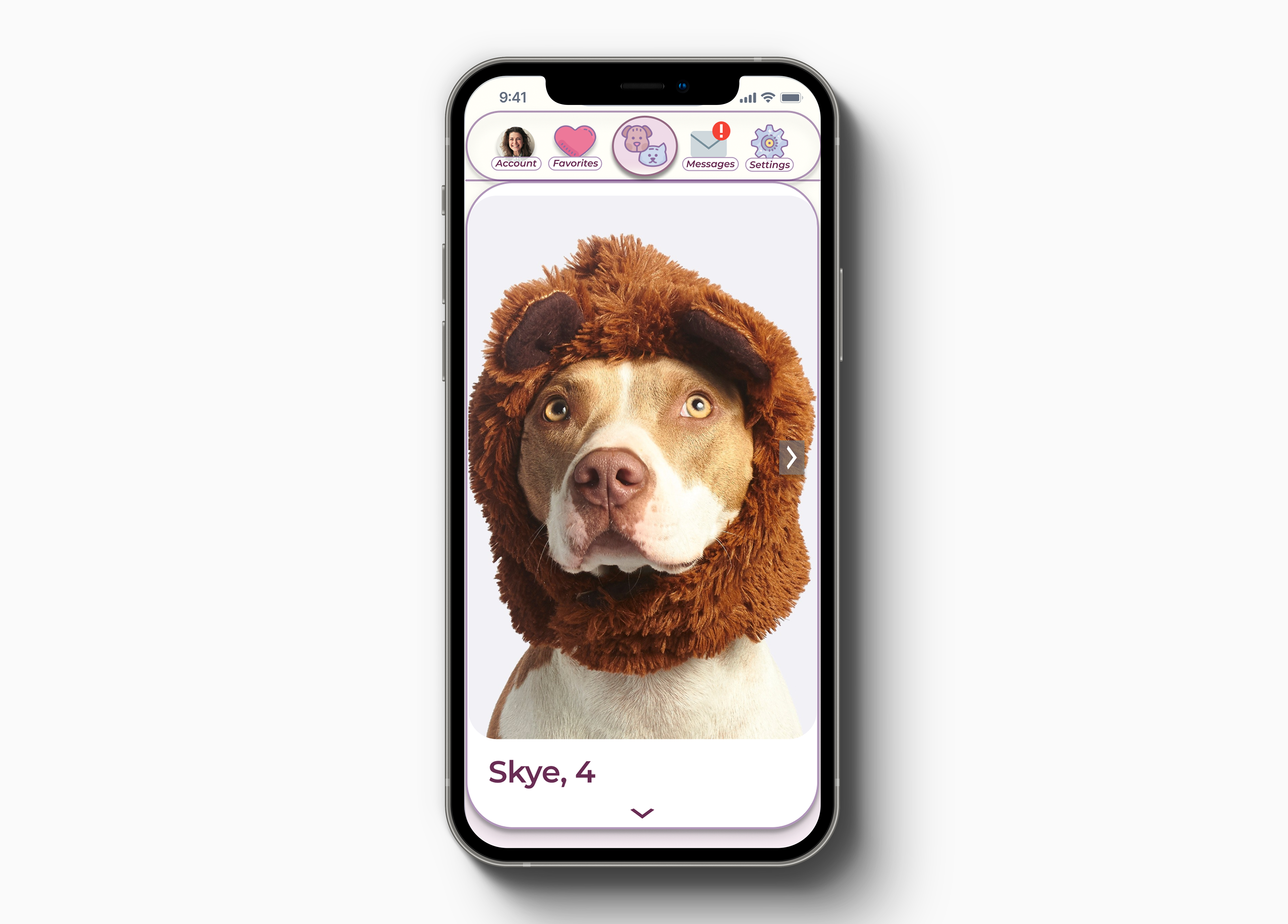 Pet Profile Page