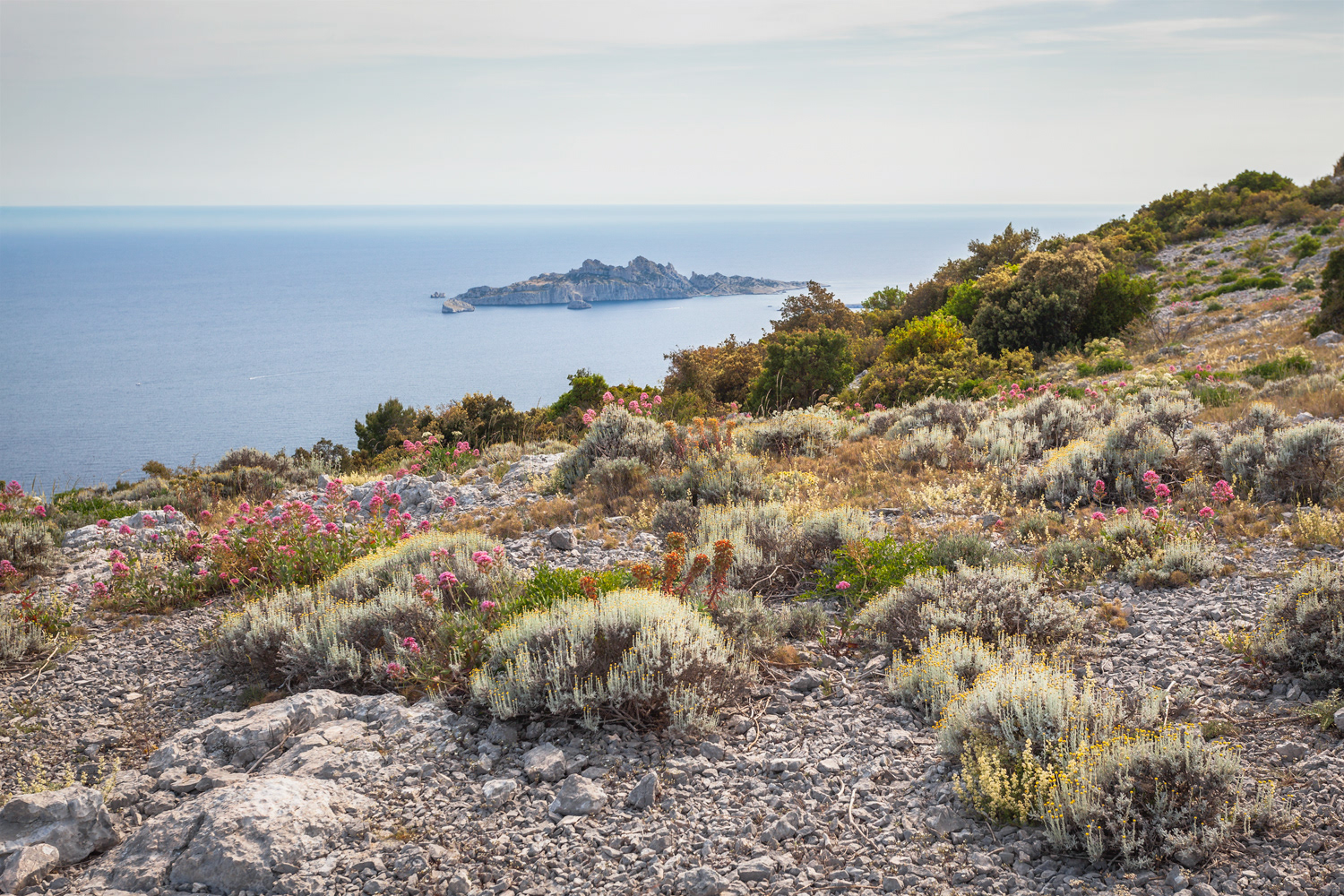 Printemps sur le Mont Puget