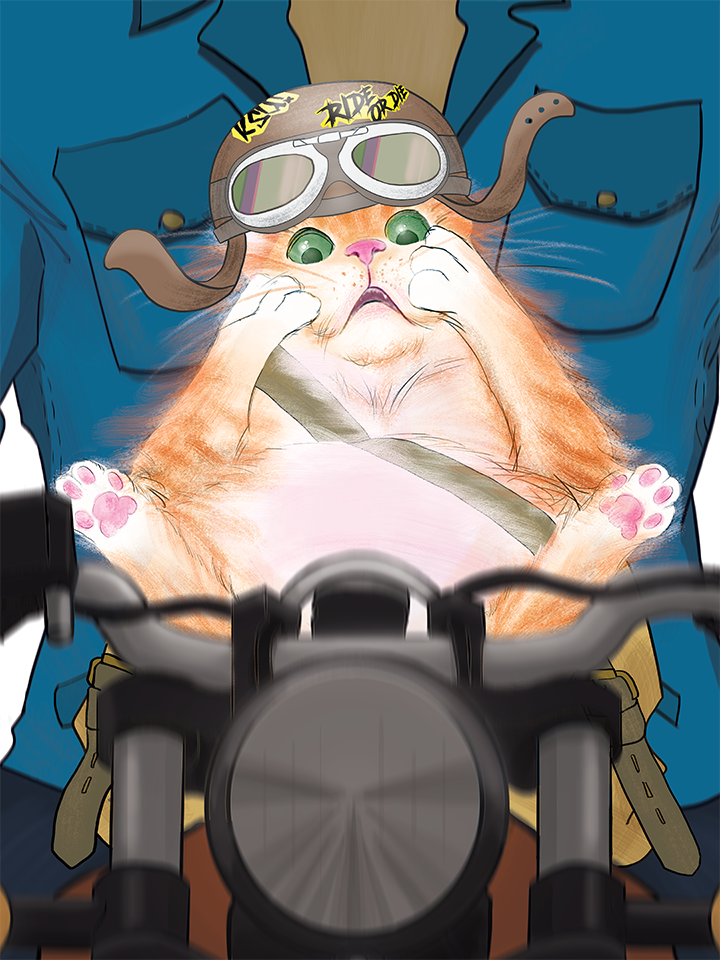 Biker Cat, 2019, Photoshop