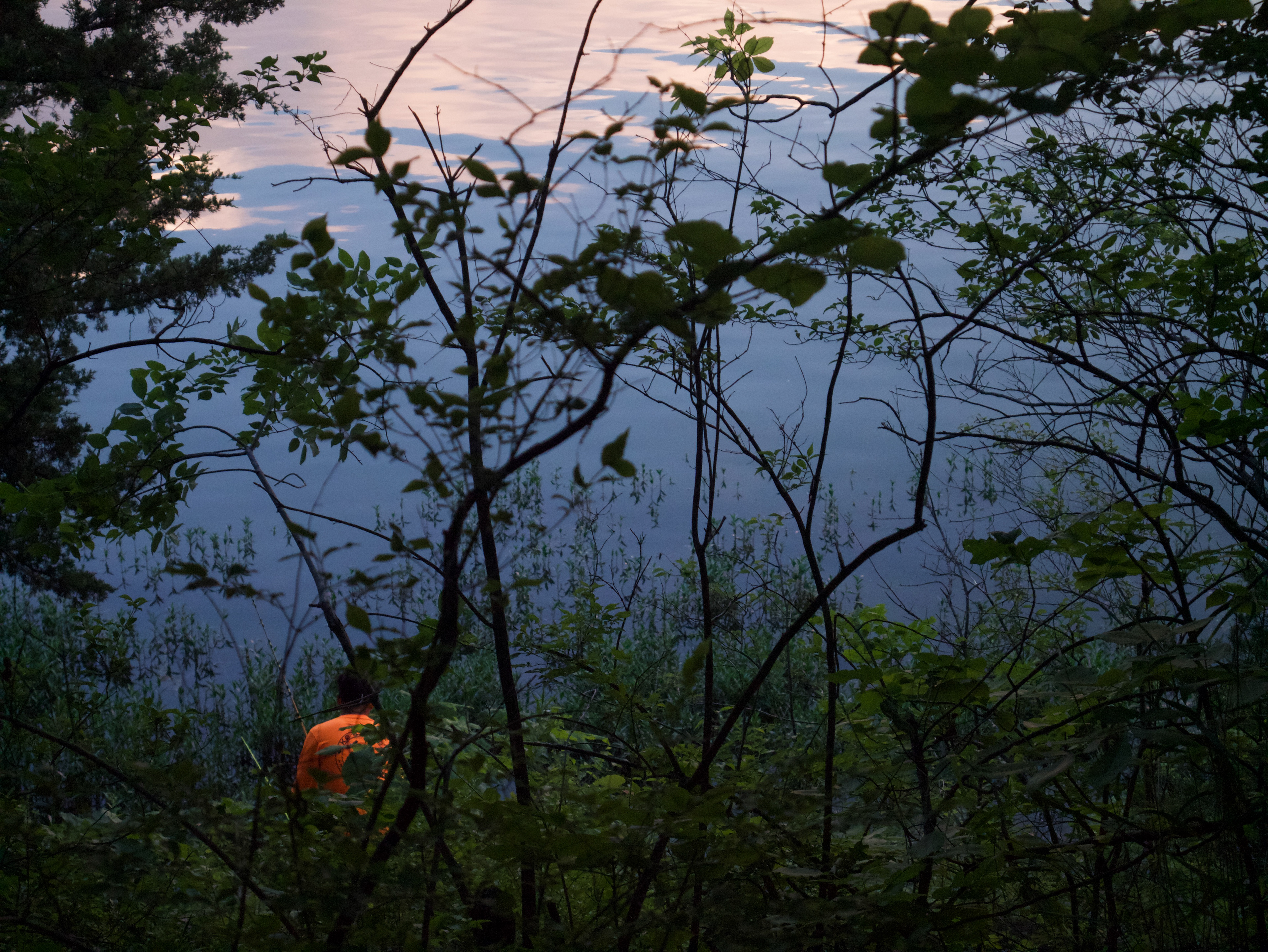 A man in an orange shirt obscured underneath branches sits on a flat piece of land fishing at the Wyandotte County Lake in Kansas City, KS; June 1st, 2025.