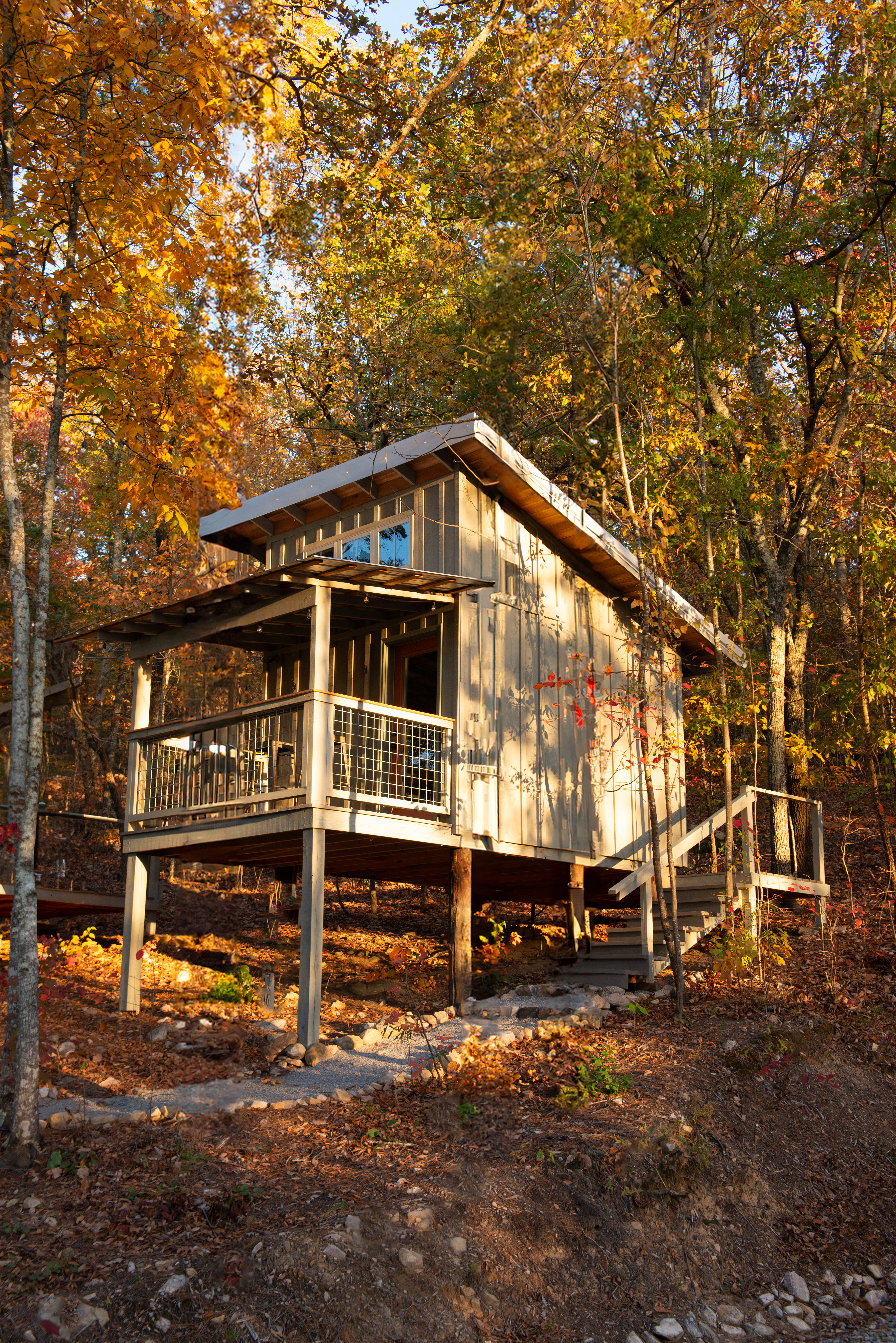 The Box Turtle cabin: sleeps 4