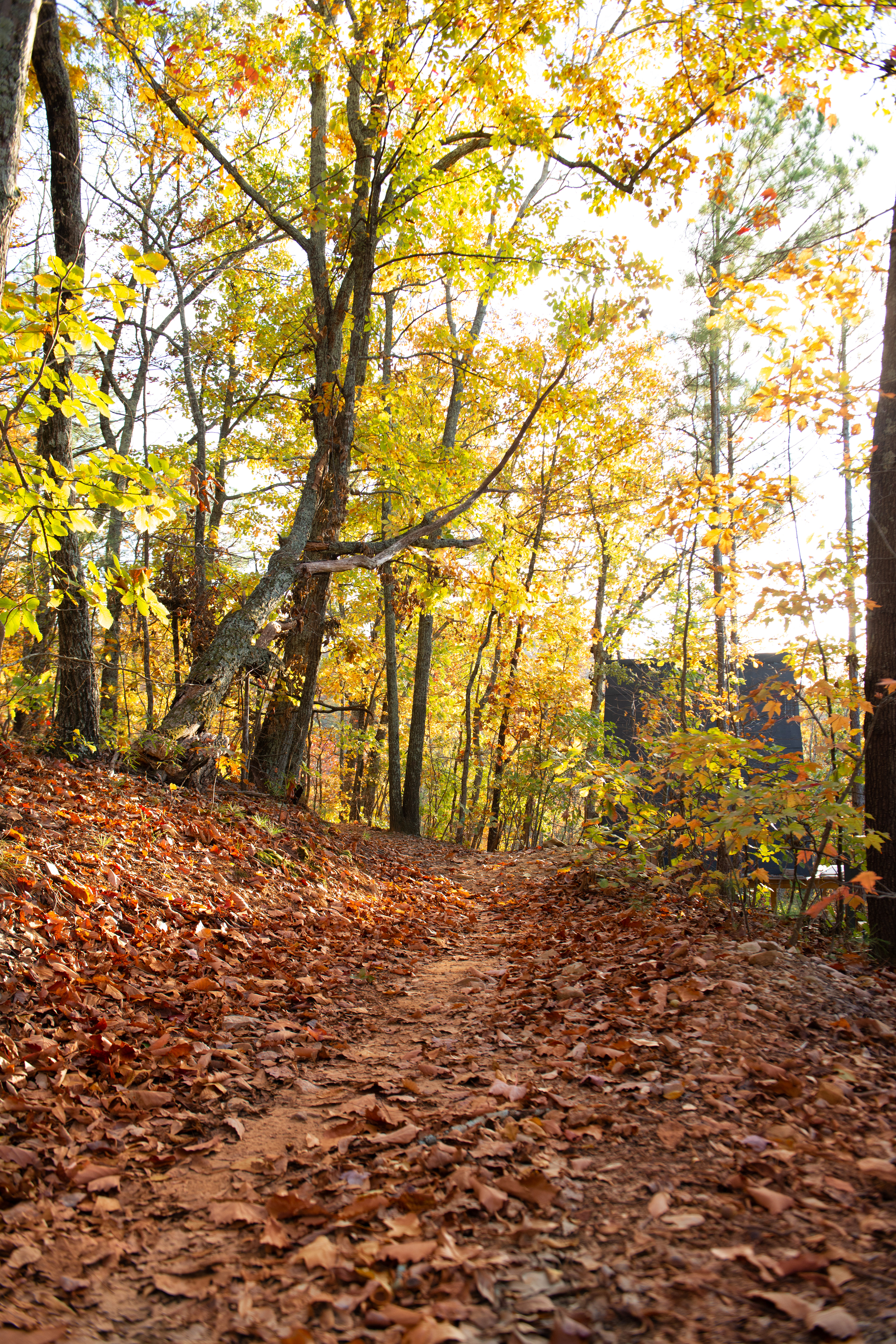 Trail access from all sites