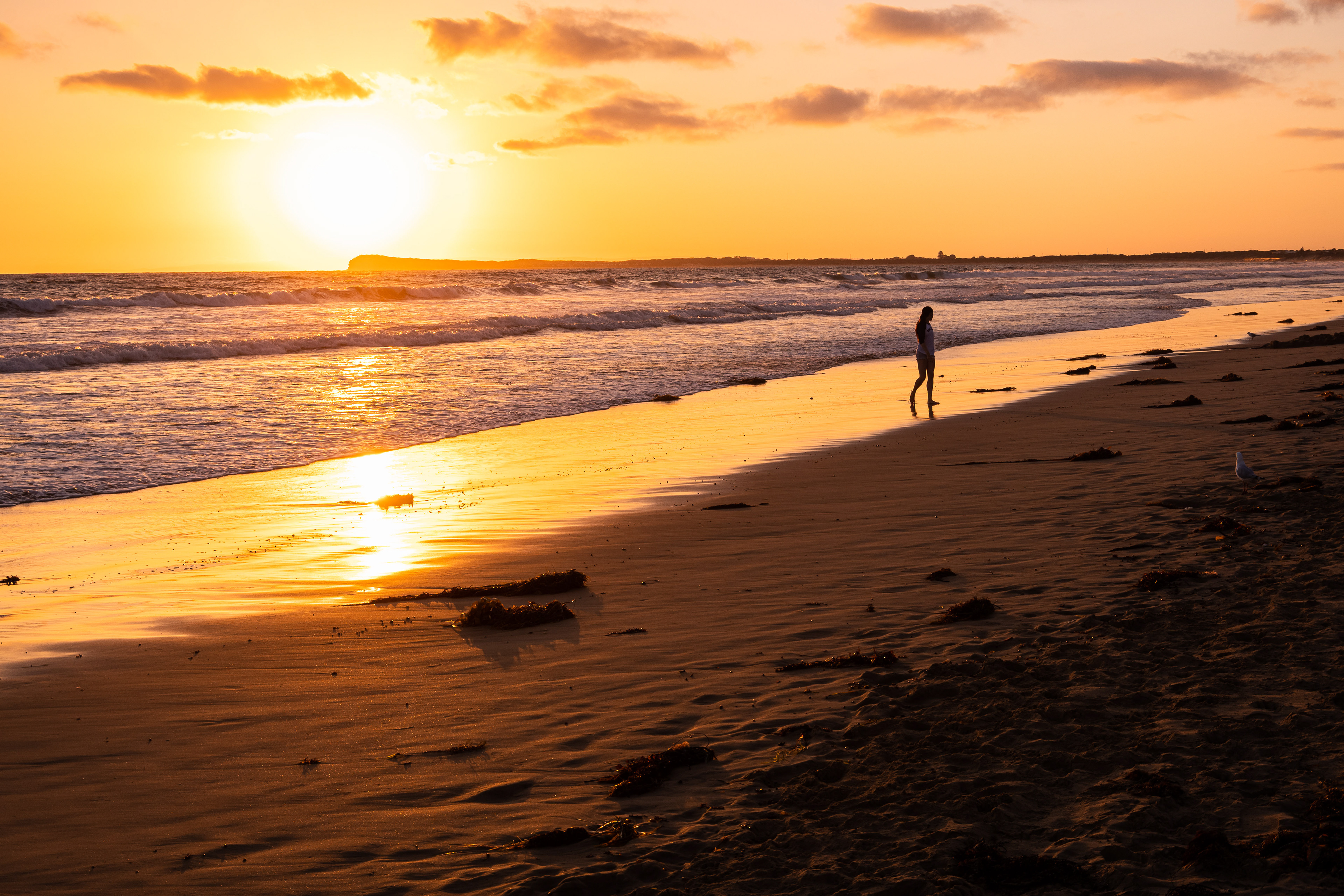 Ocean Grove, Victoria, Australia