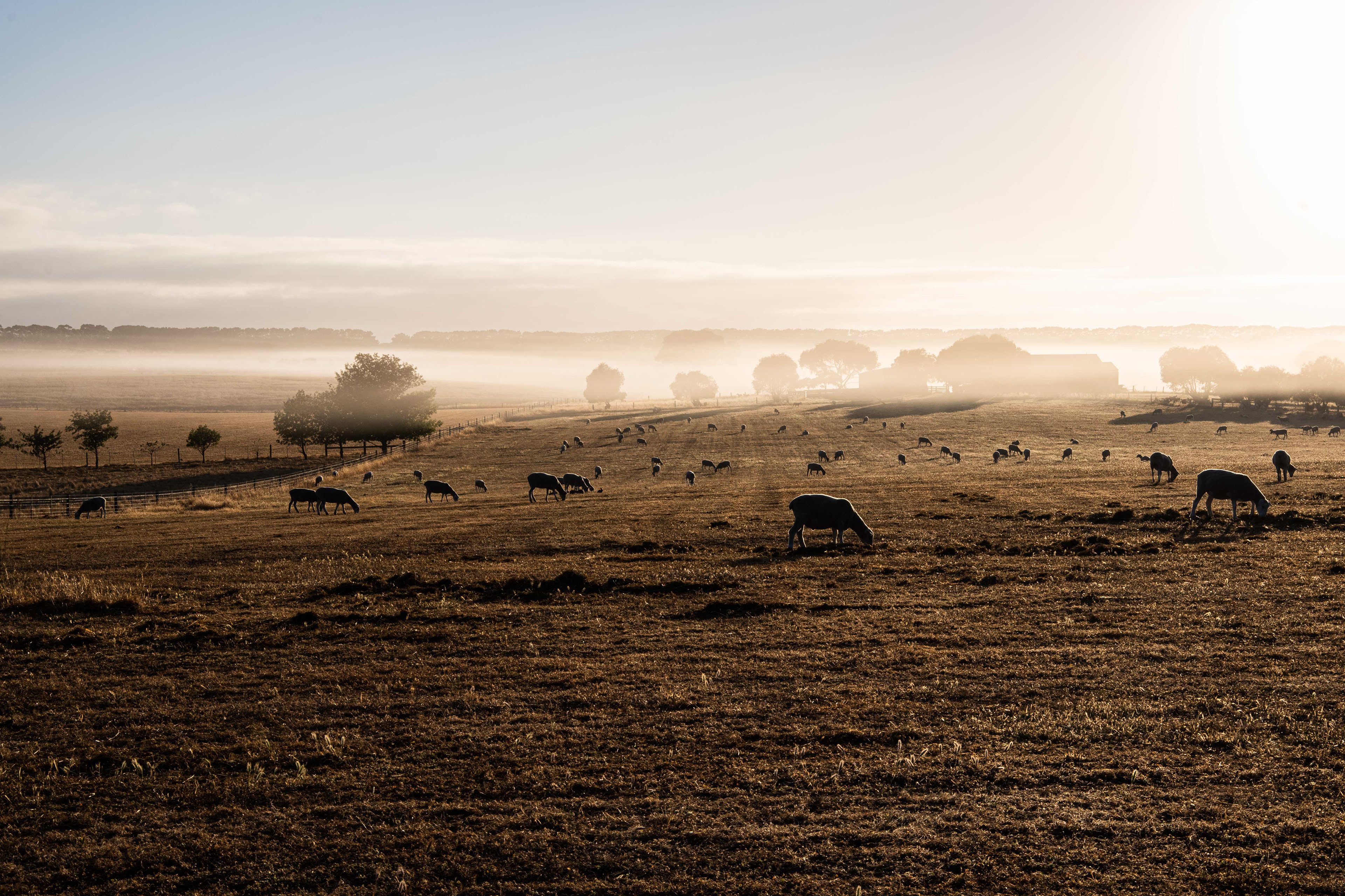 Wallington, Victoria, Australia
