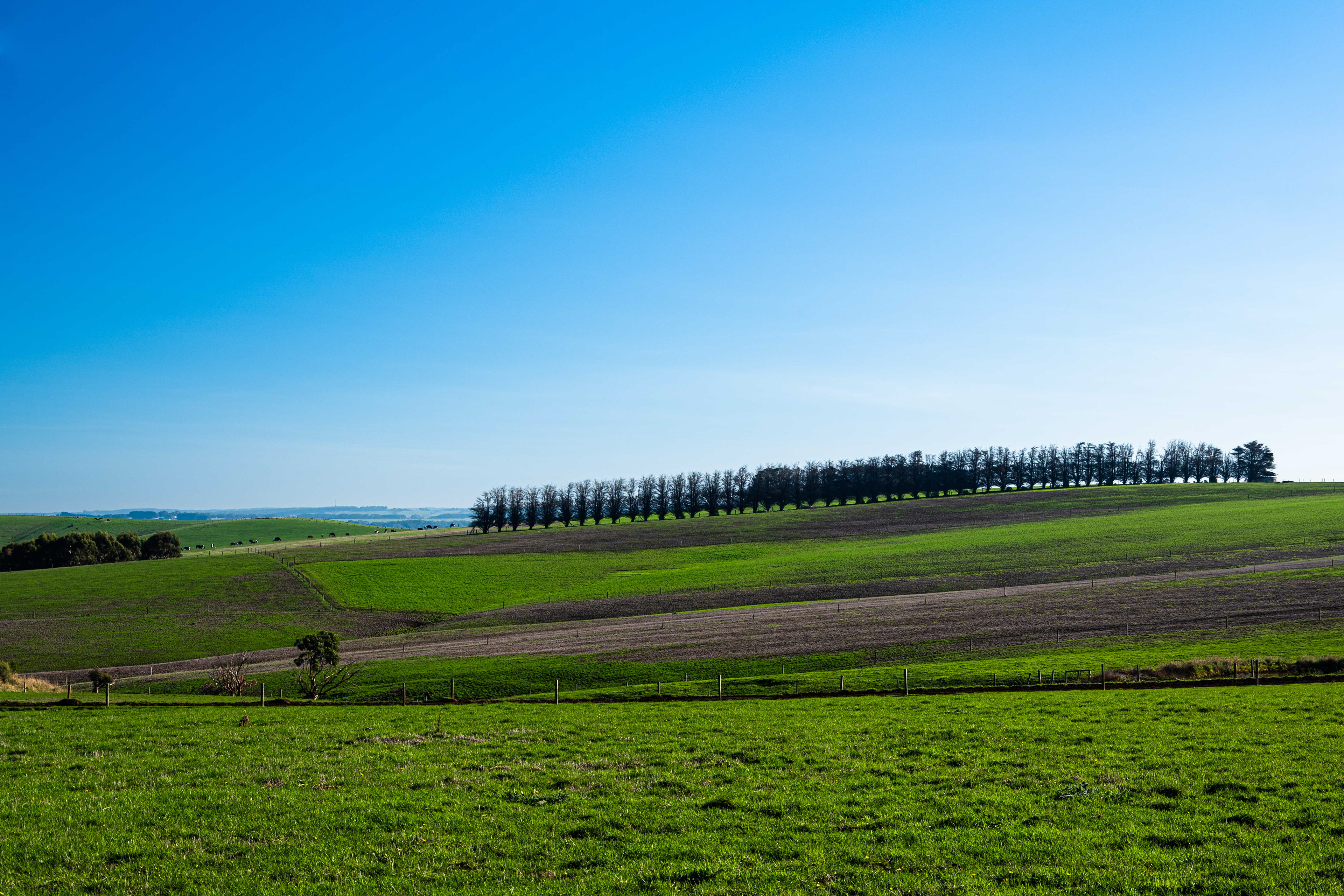 Near Port Campbell, Victoria, Australia