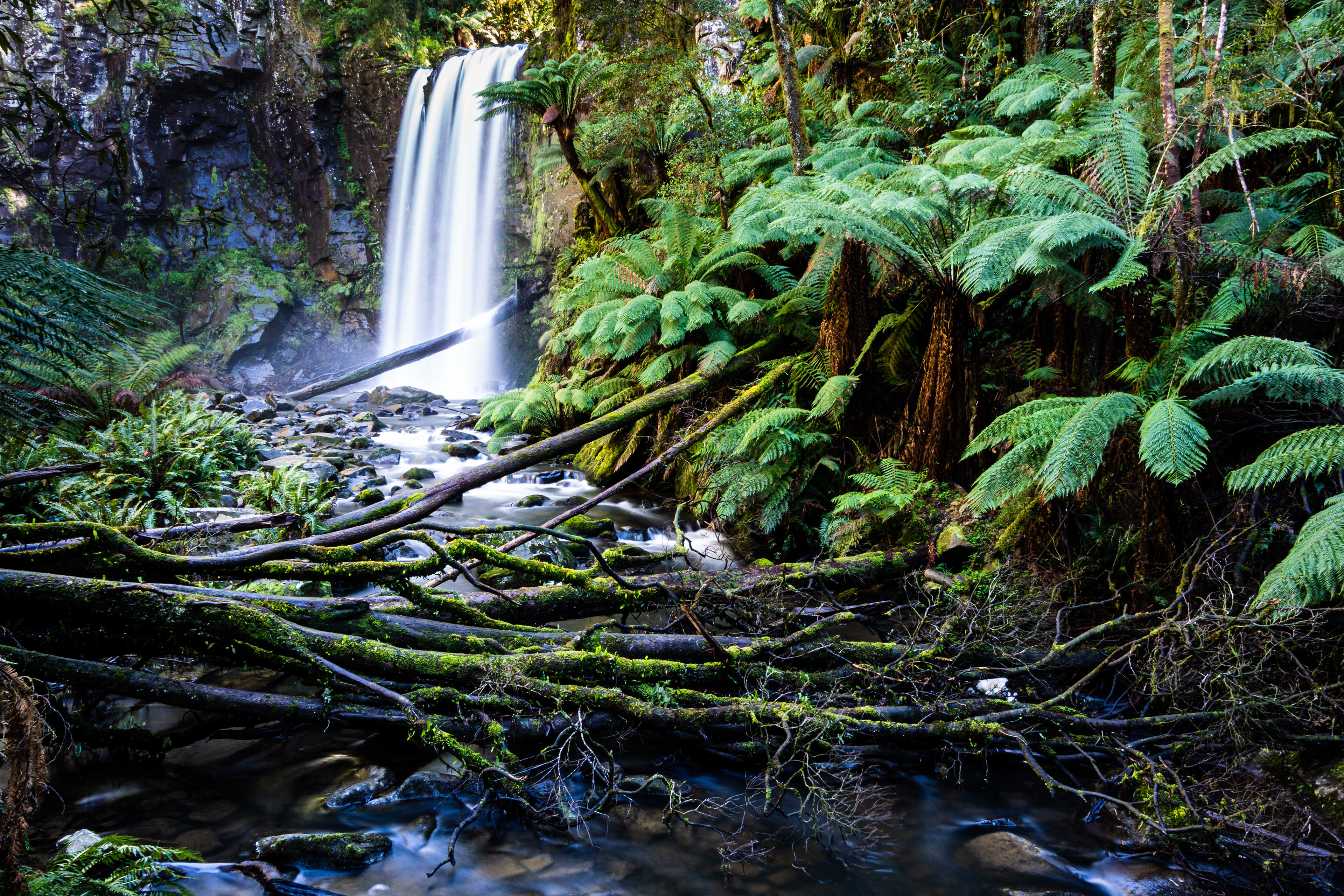 Erskine Falls, Great Otway National Park, Victoria, Australia