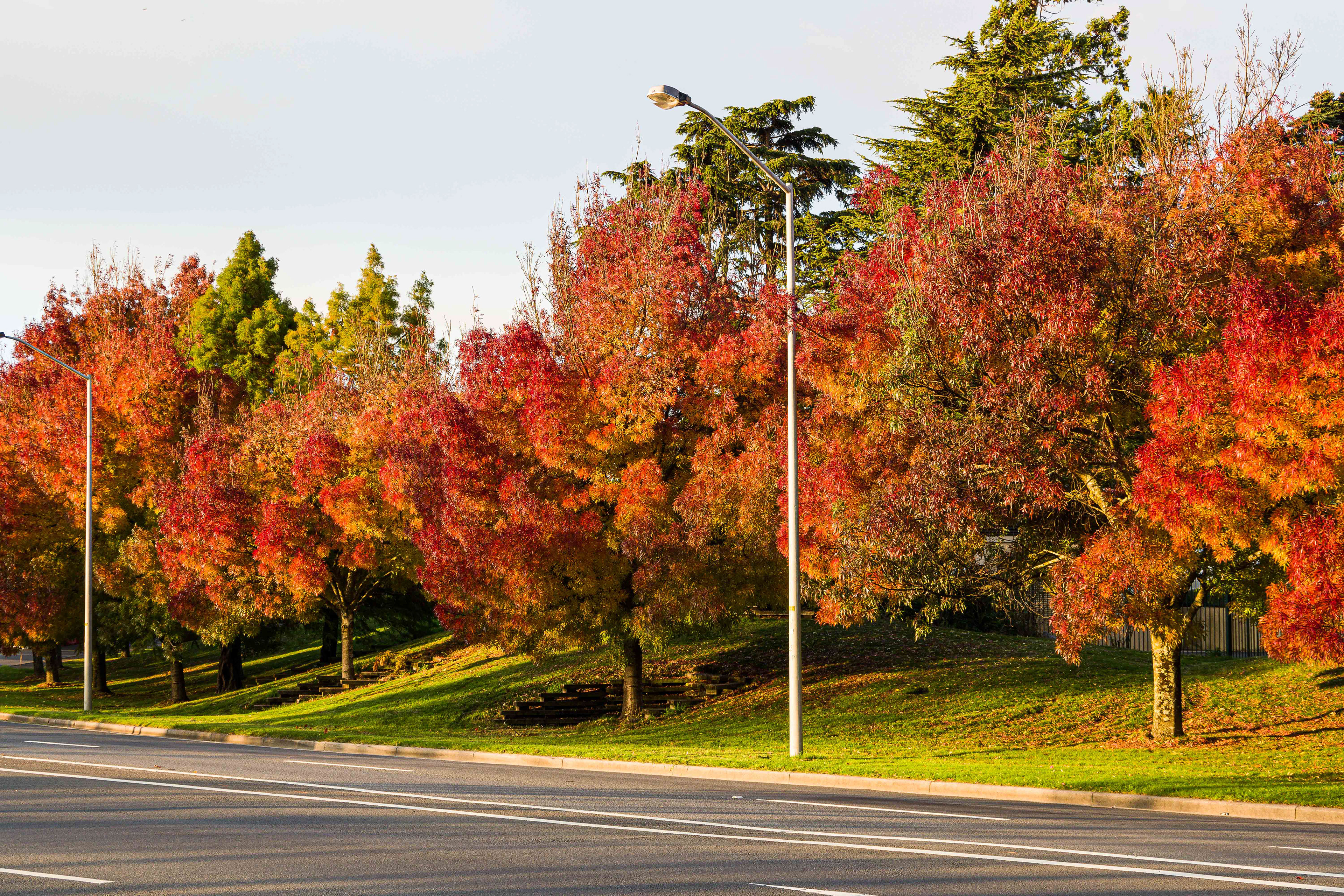 Launceston, Tasmania, Australia