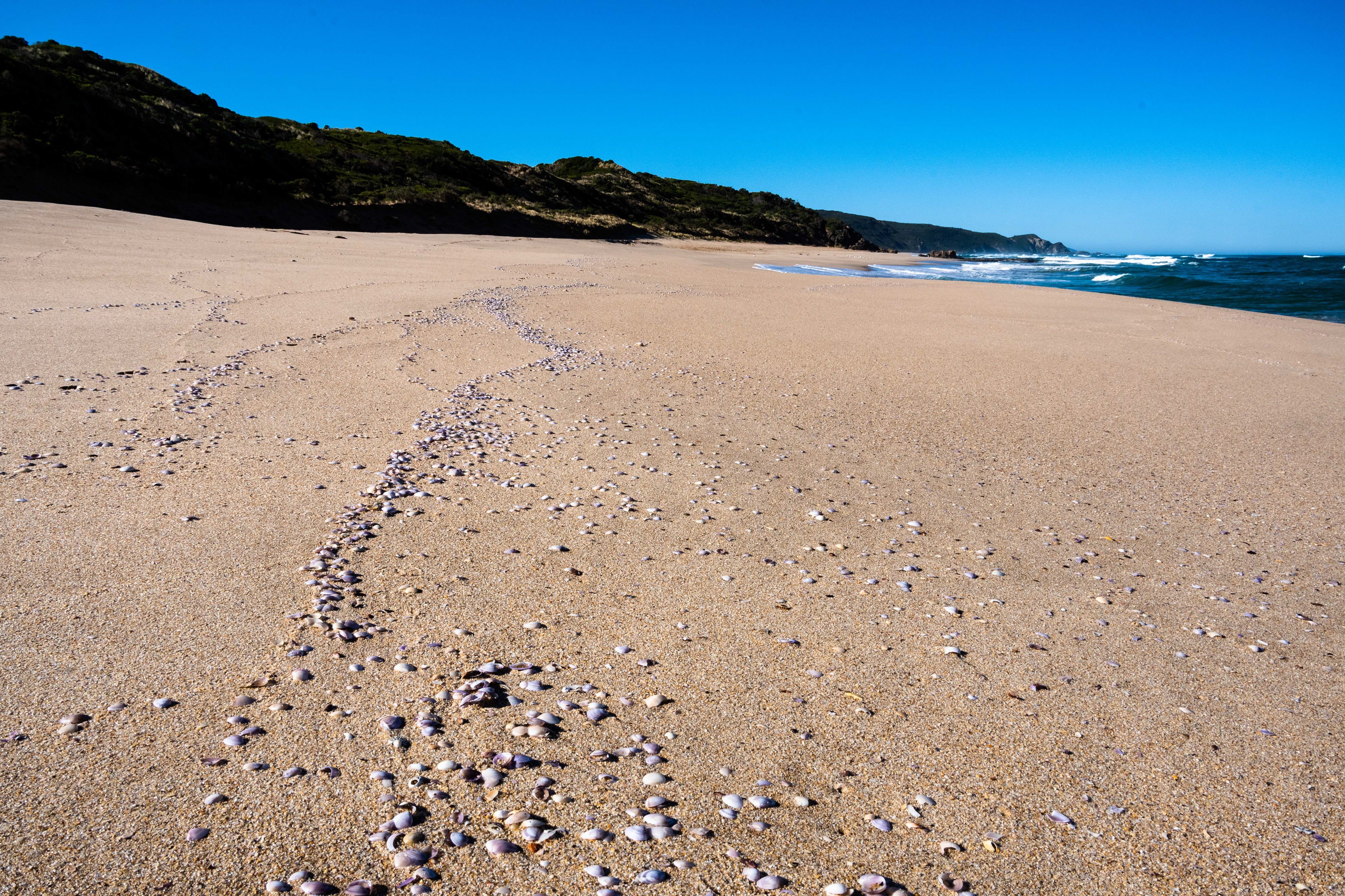 Johanna Beach, Great Ocean Road, Victoria, Australia