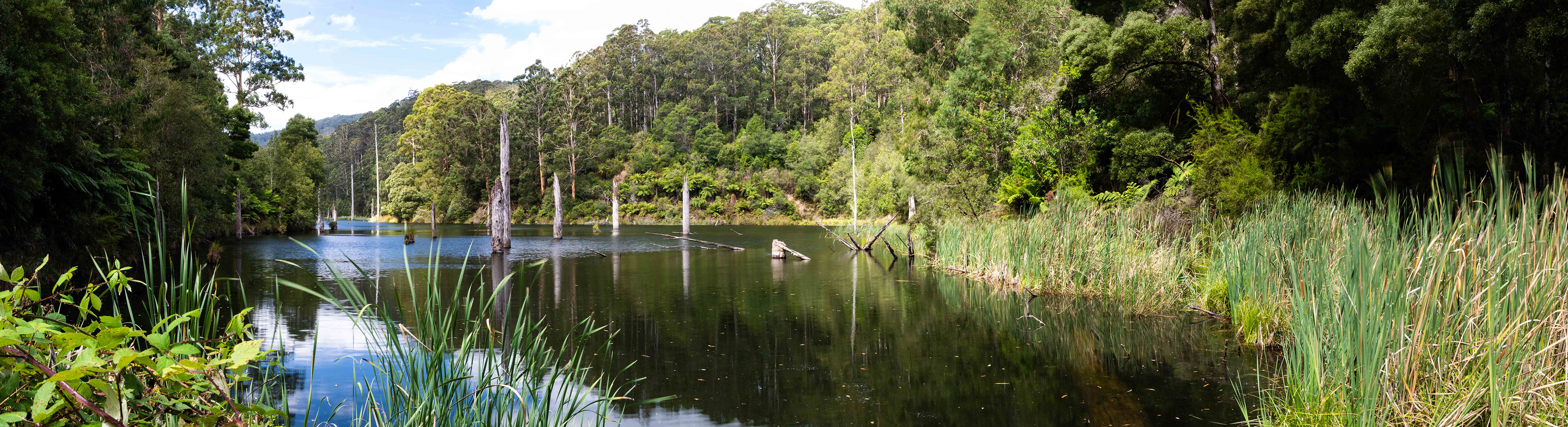 Lake Elizabeth, Great Otway National Park, Victoria, Australia