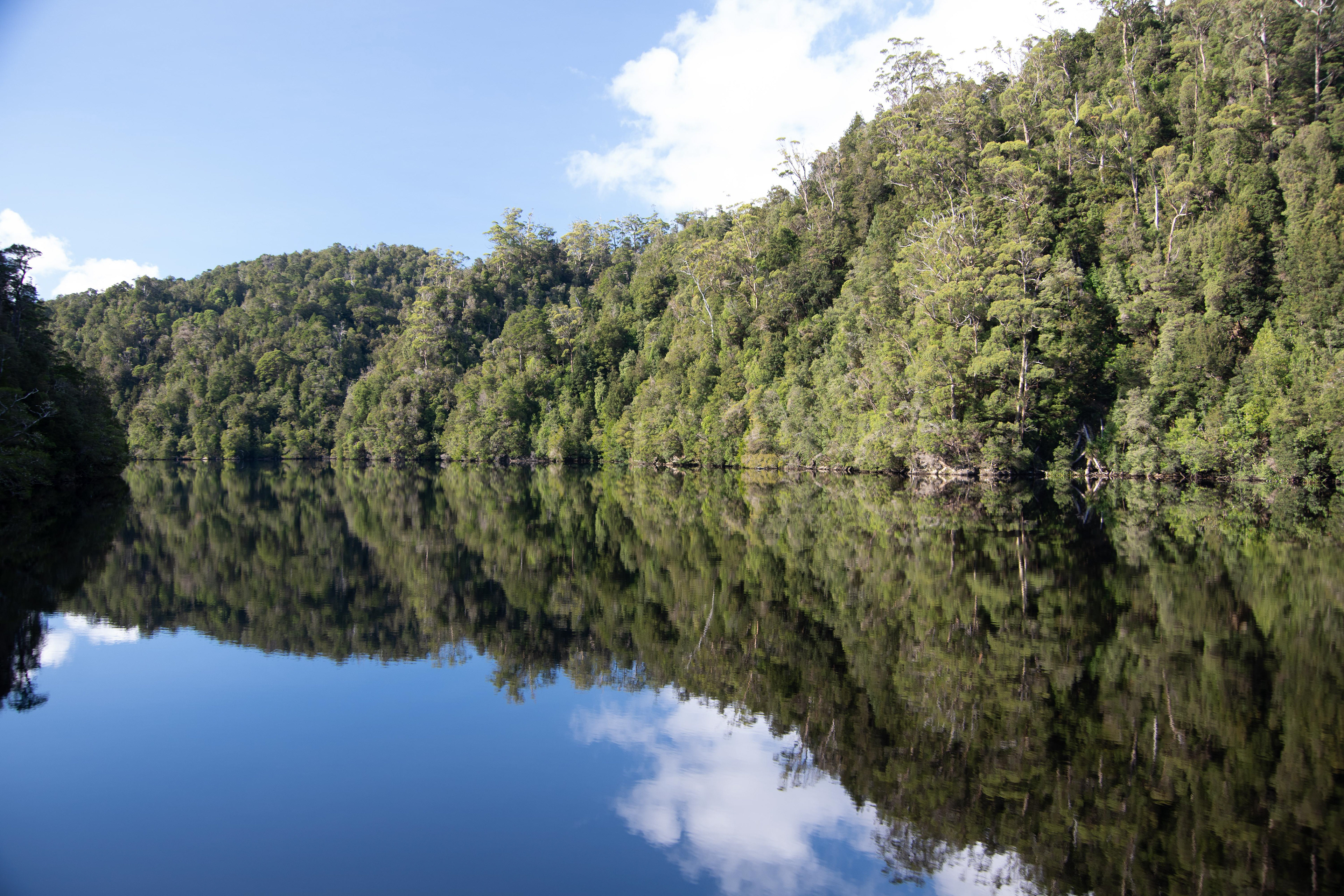 Gordon River, Tasmania, Australia