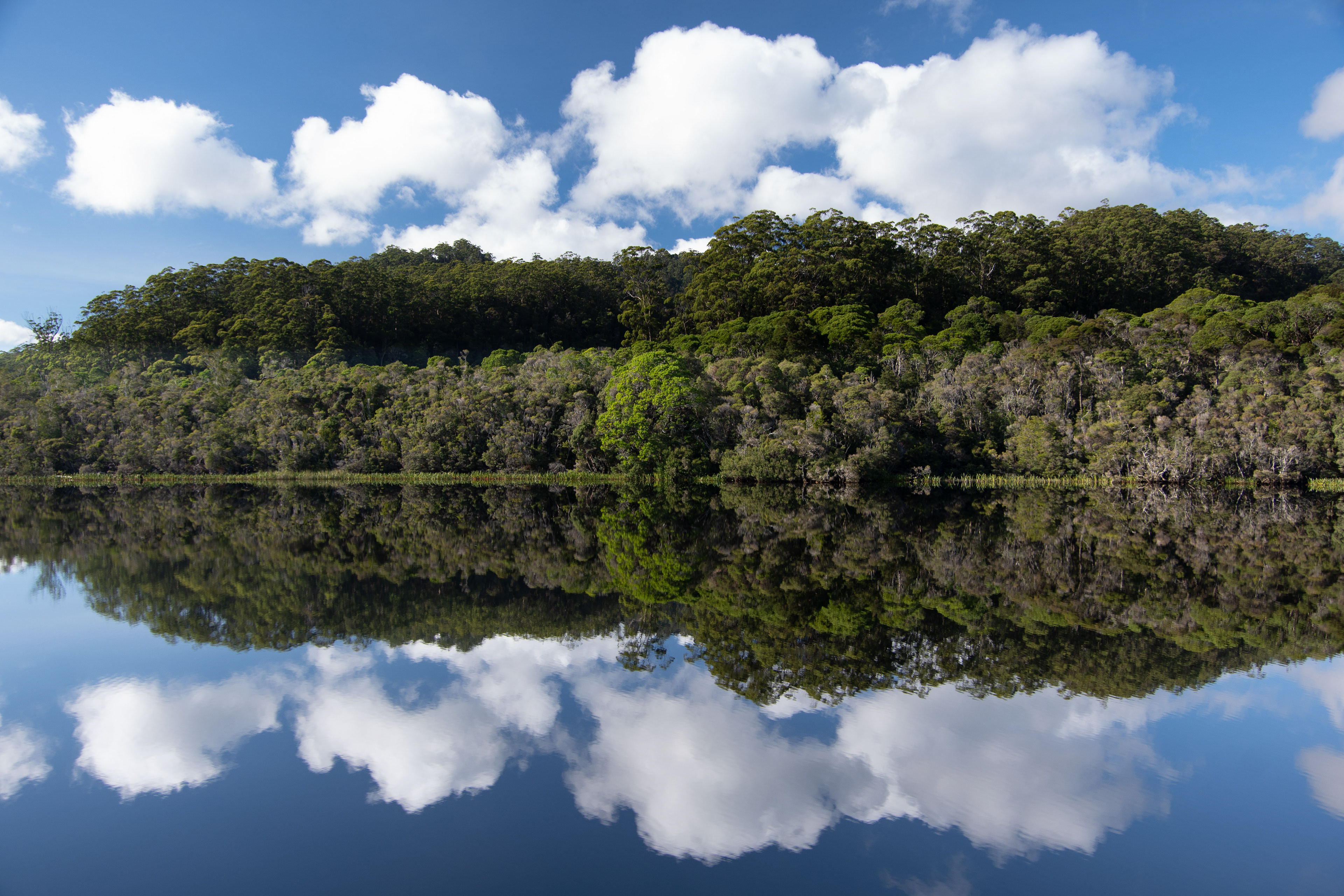 Gordon River, Tasmania, Australia