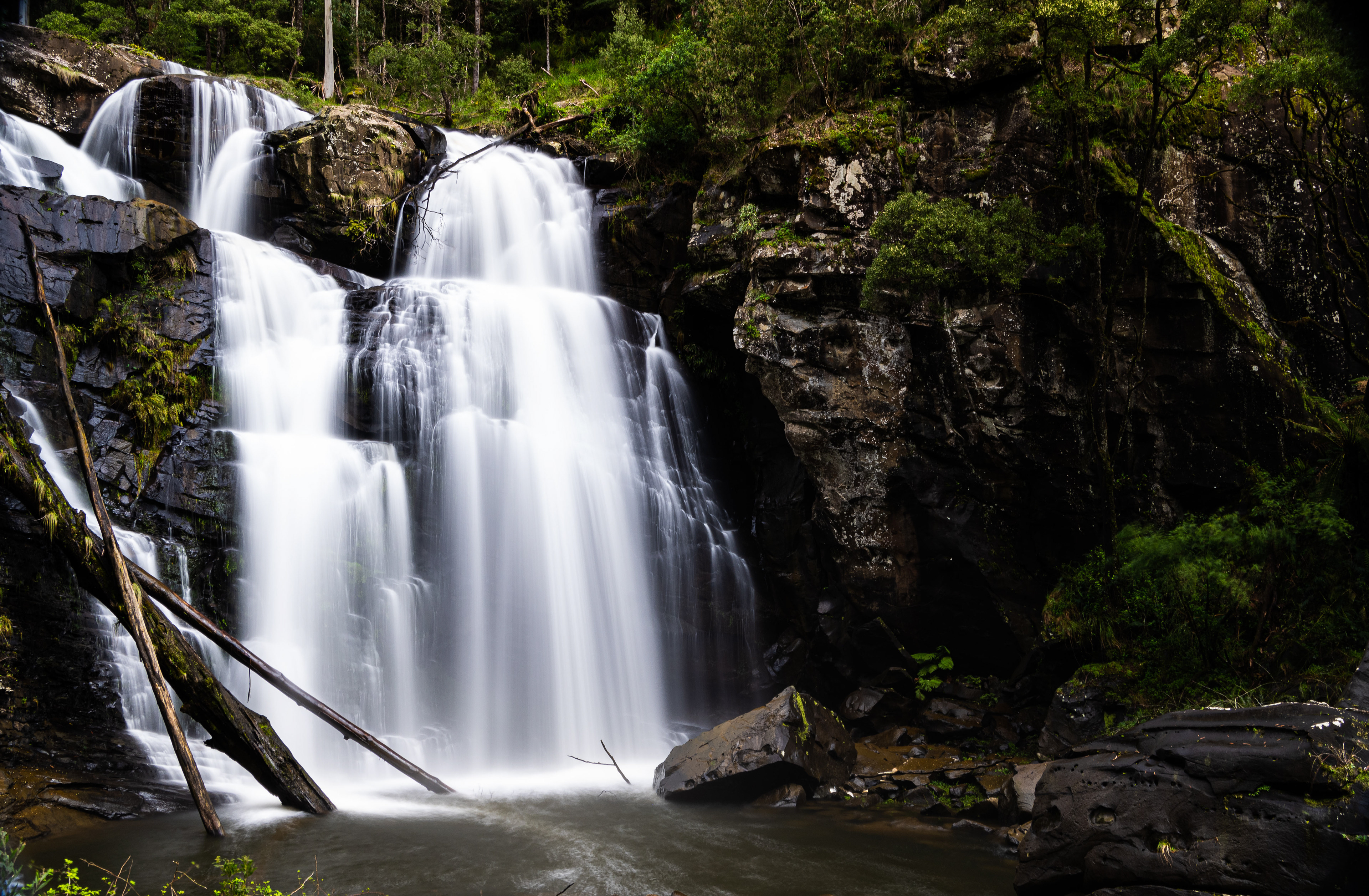 Stevenson Falls, Great Otway National Park, Victoria, Australia