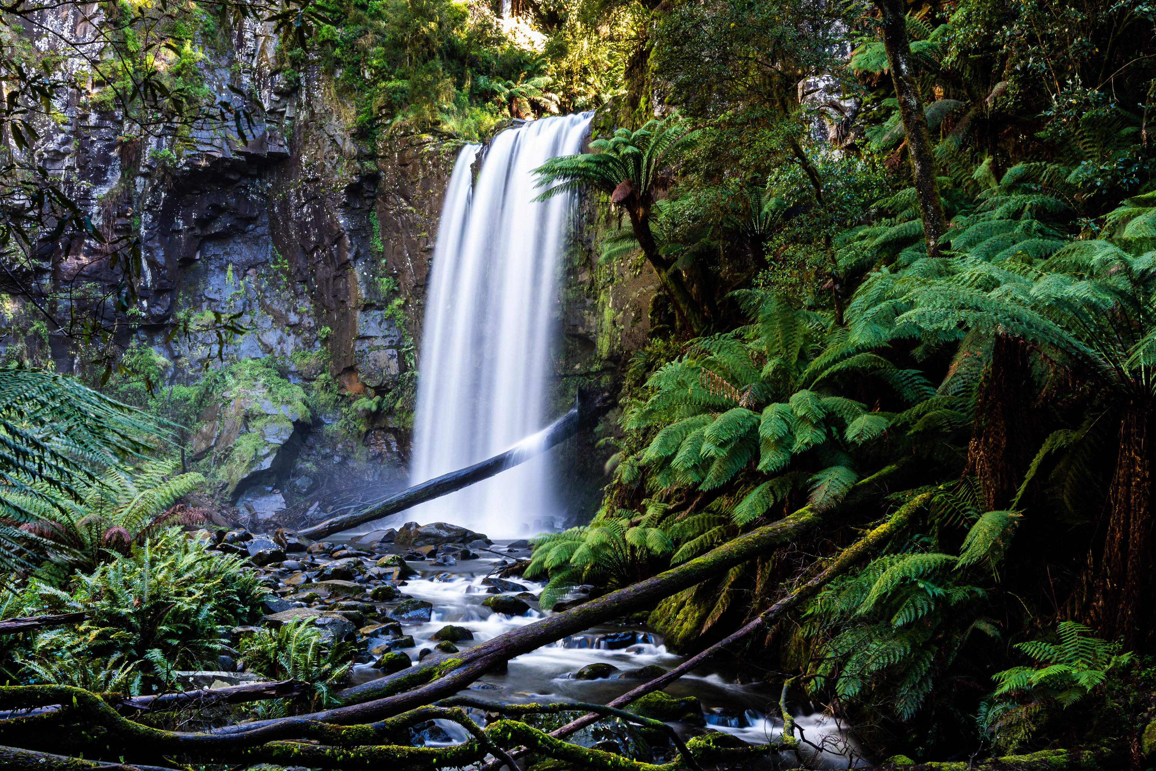 Erskine Falls, Great Otway National Park, Victoria, Australia