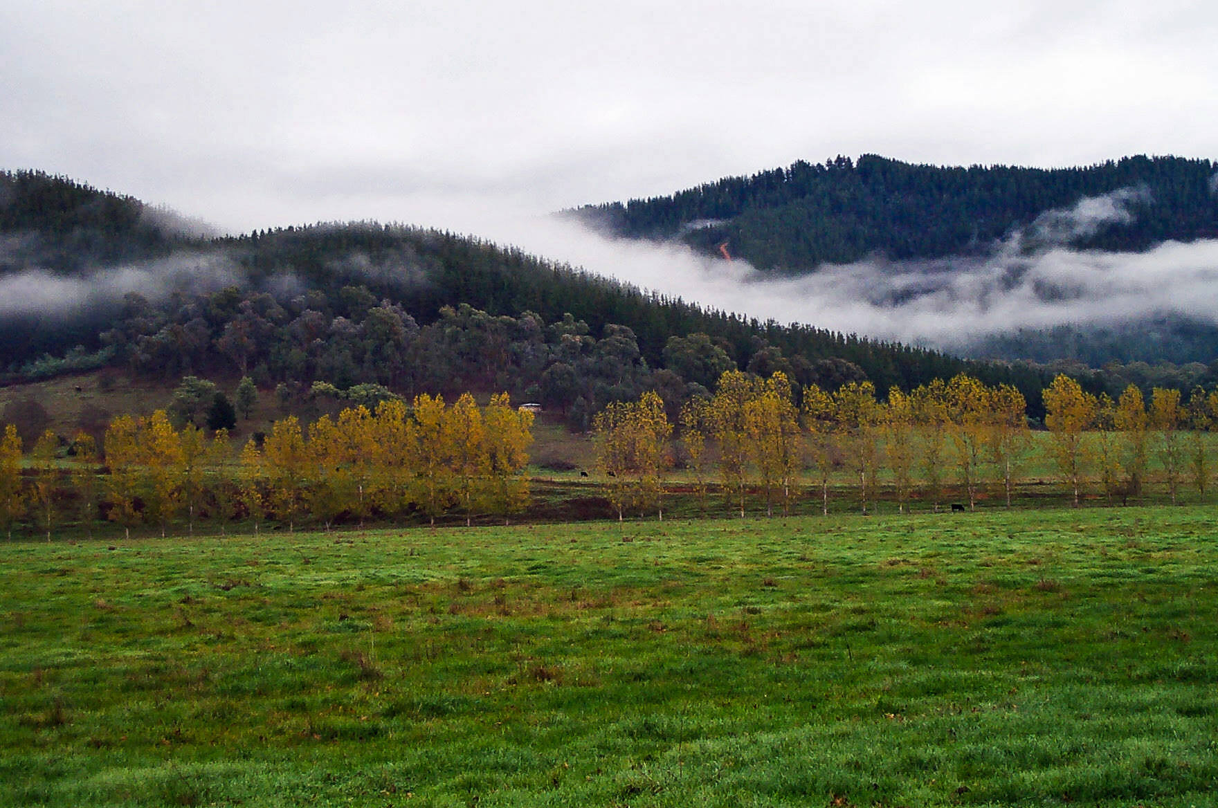 Bright, Victoria, Australia