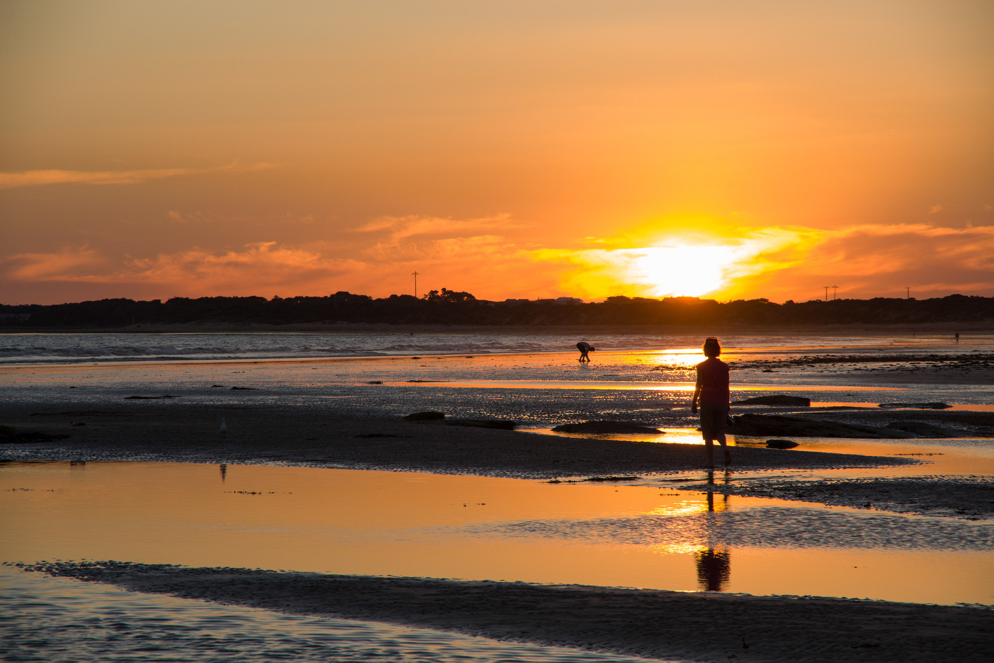 Ocean Grove, Victoria, Australia