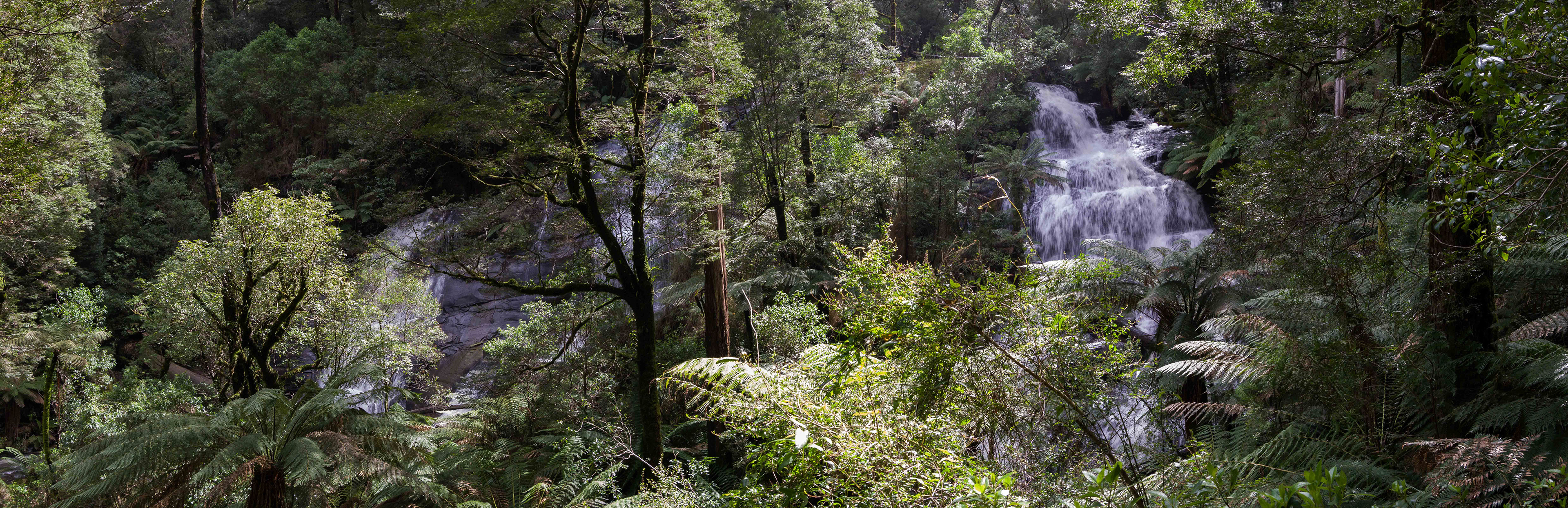 Triplet Falls, Great Otway National Park, Victoria, Australia