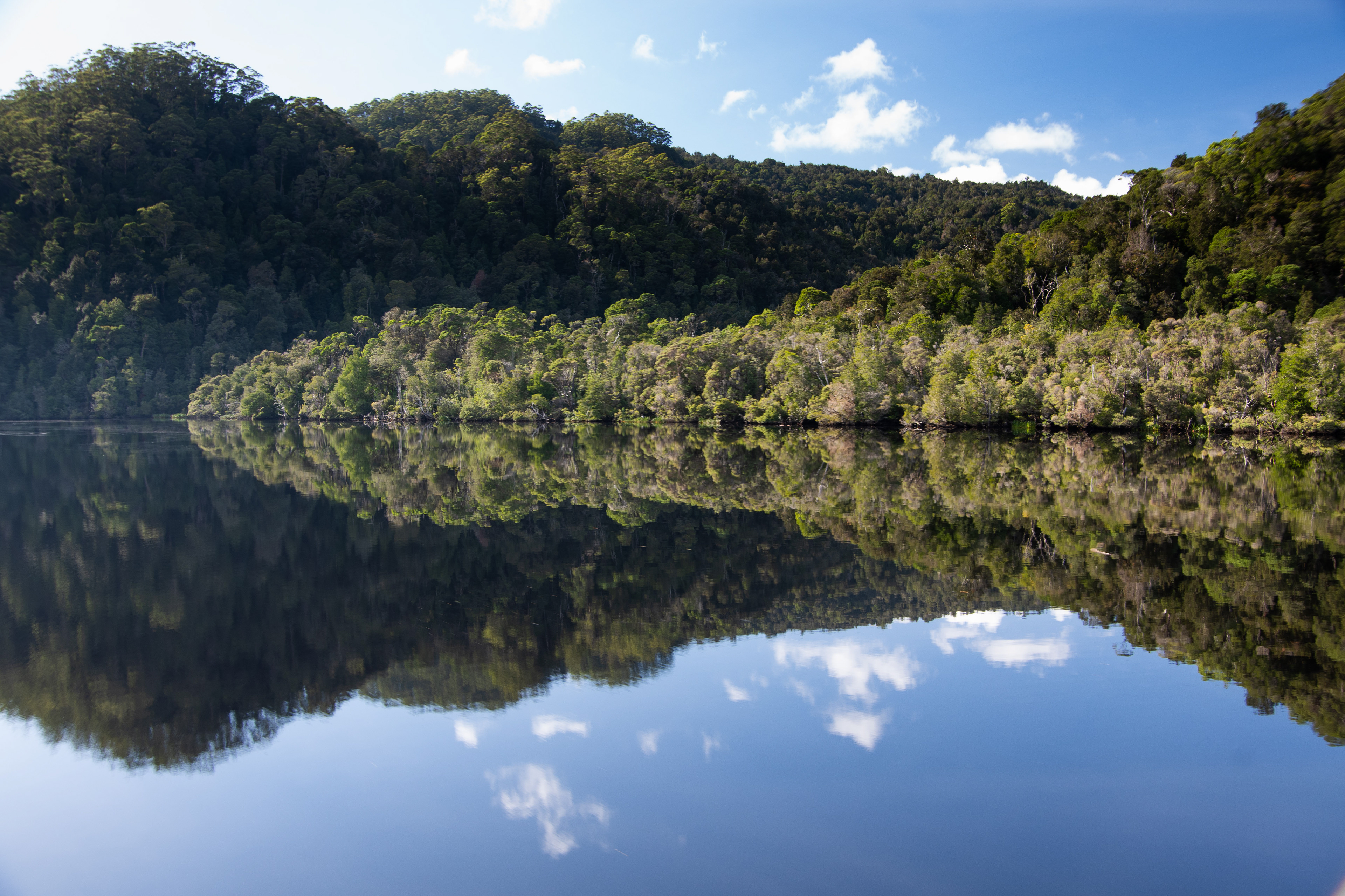 Gordon River, Tasmania, Australia