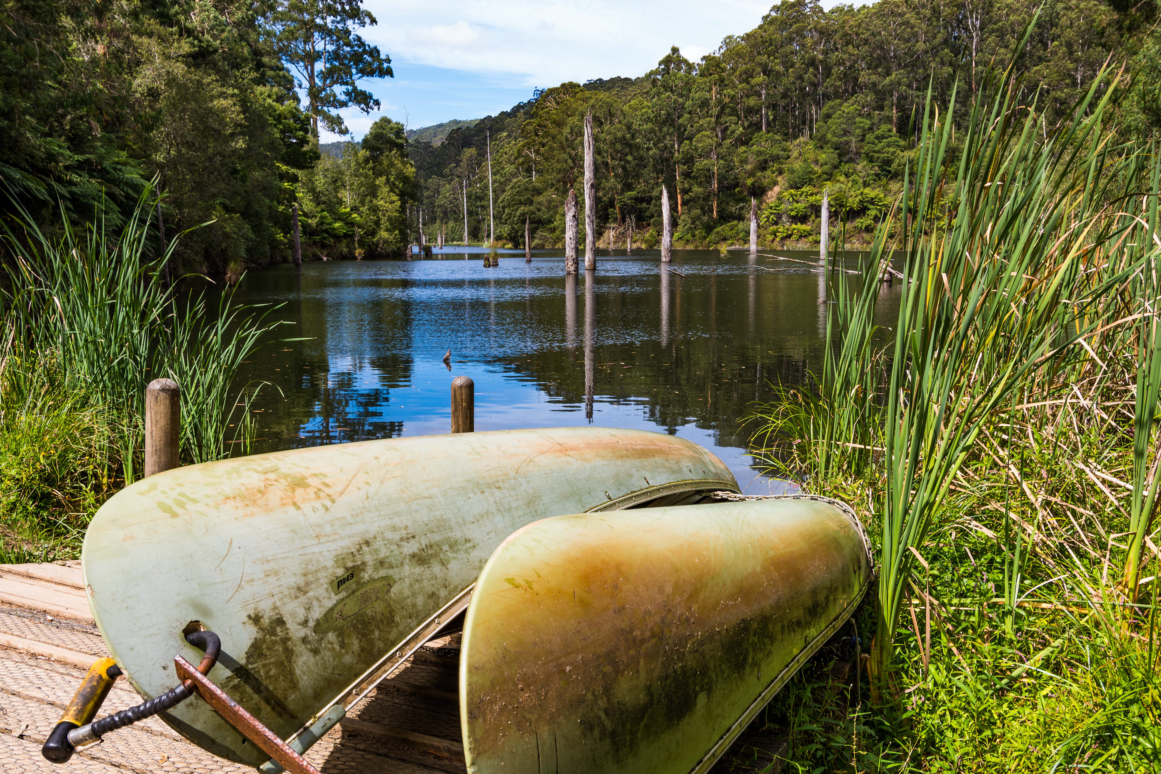 Lake Elizabeth, Great Otway National Park, Victoria, Australia