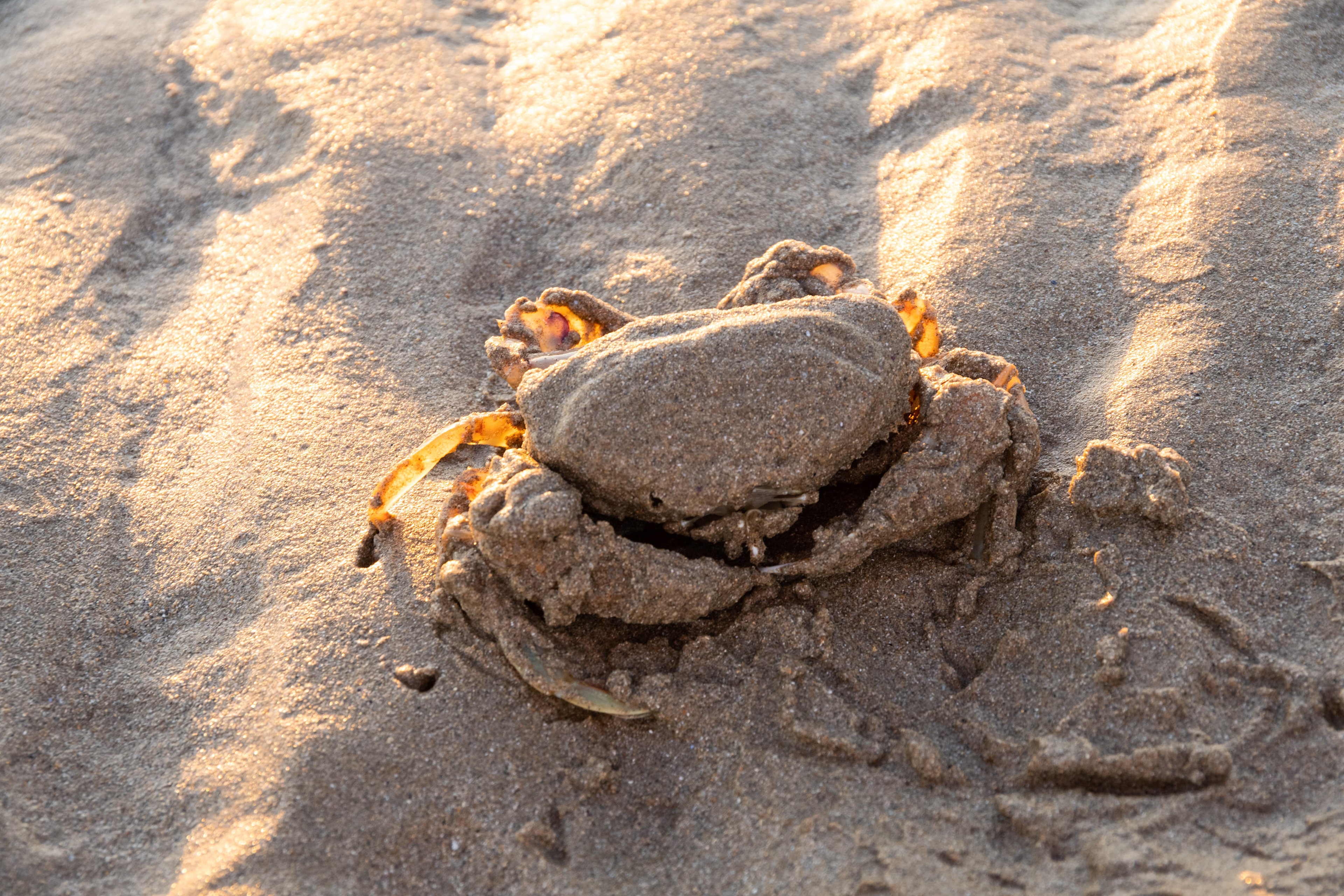 Ocean Grove, Victoria, Australia
