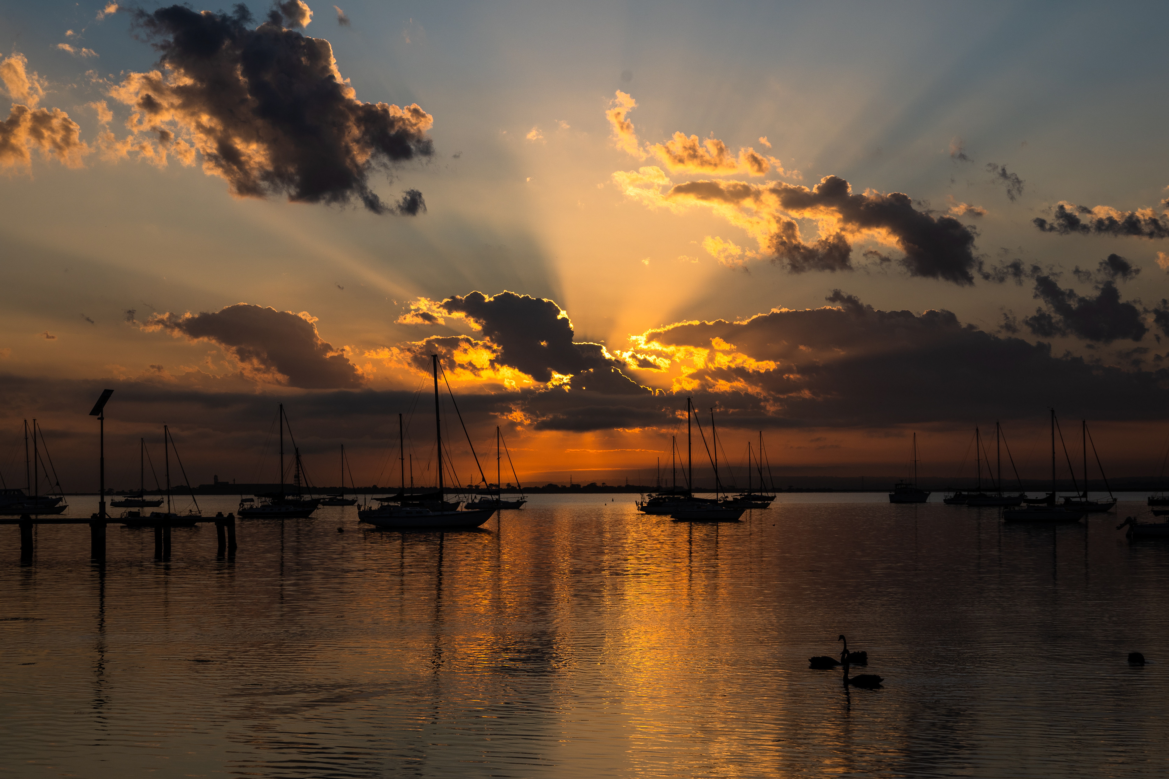 Geelong, Victoria, Australia