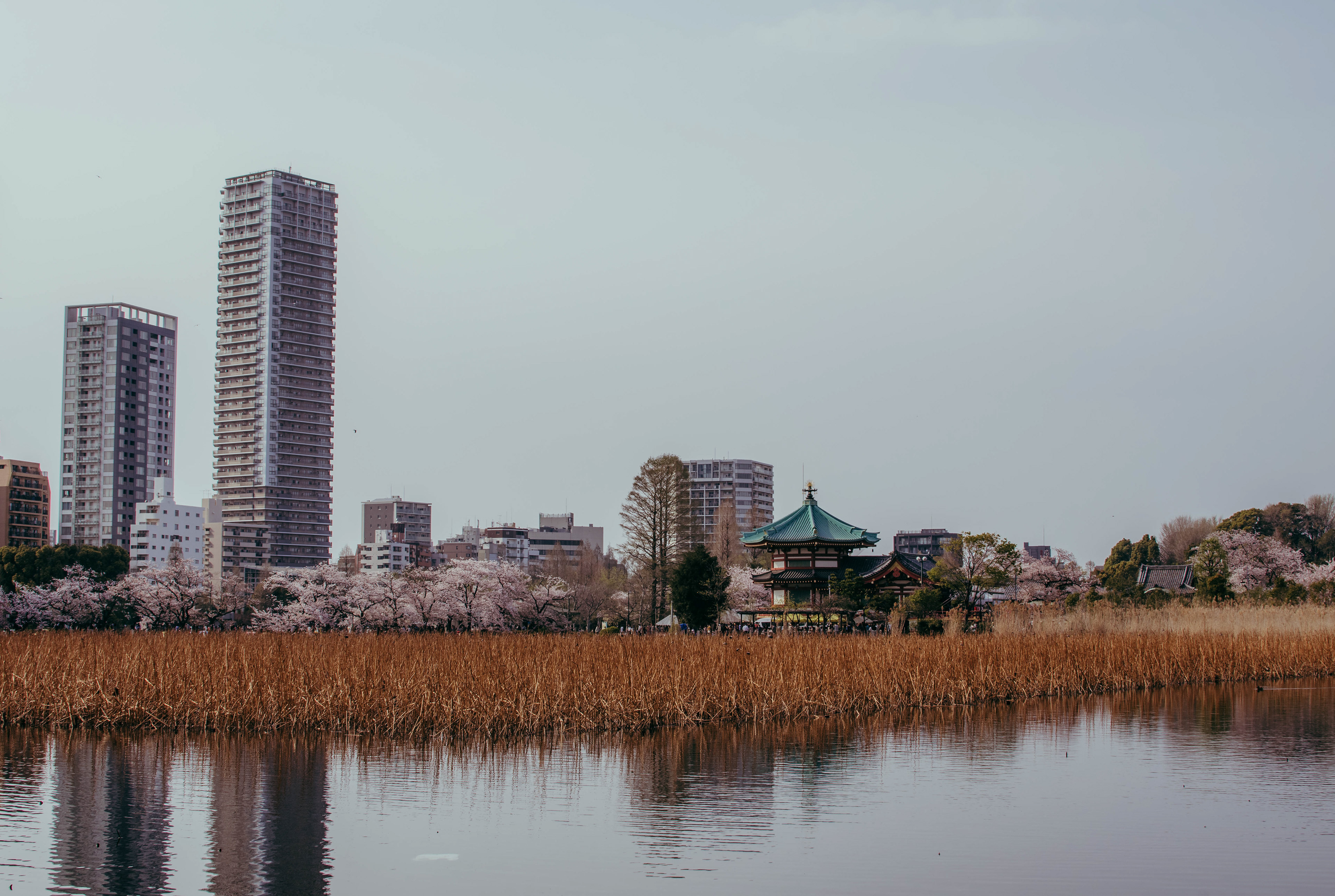 Tokyo
