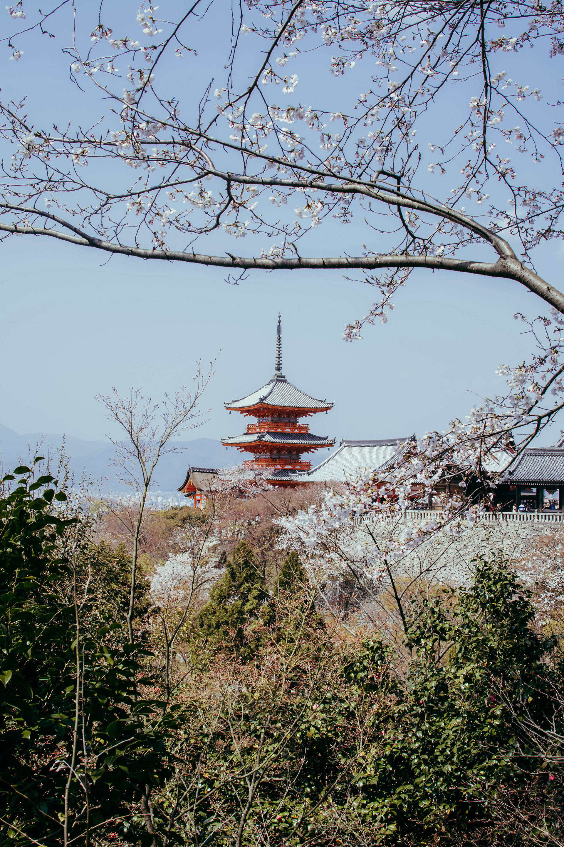 Kyoto