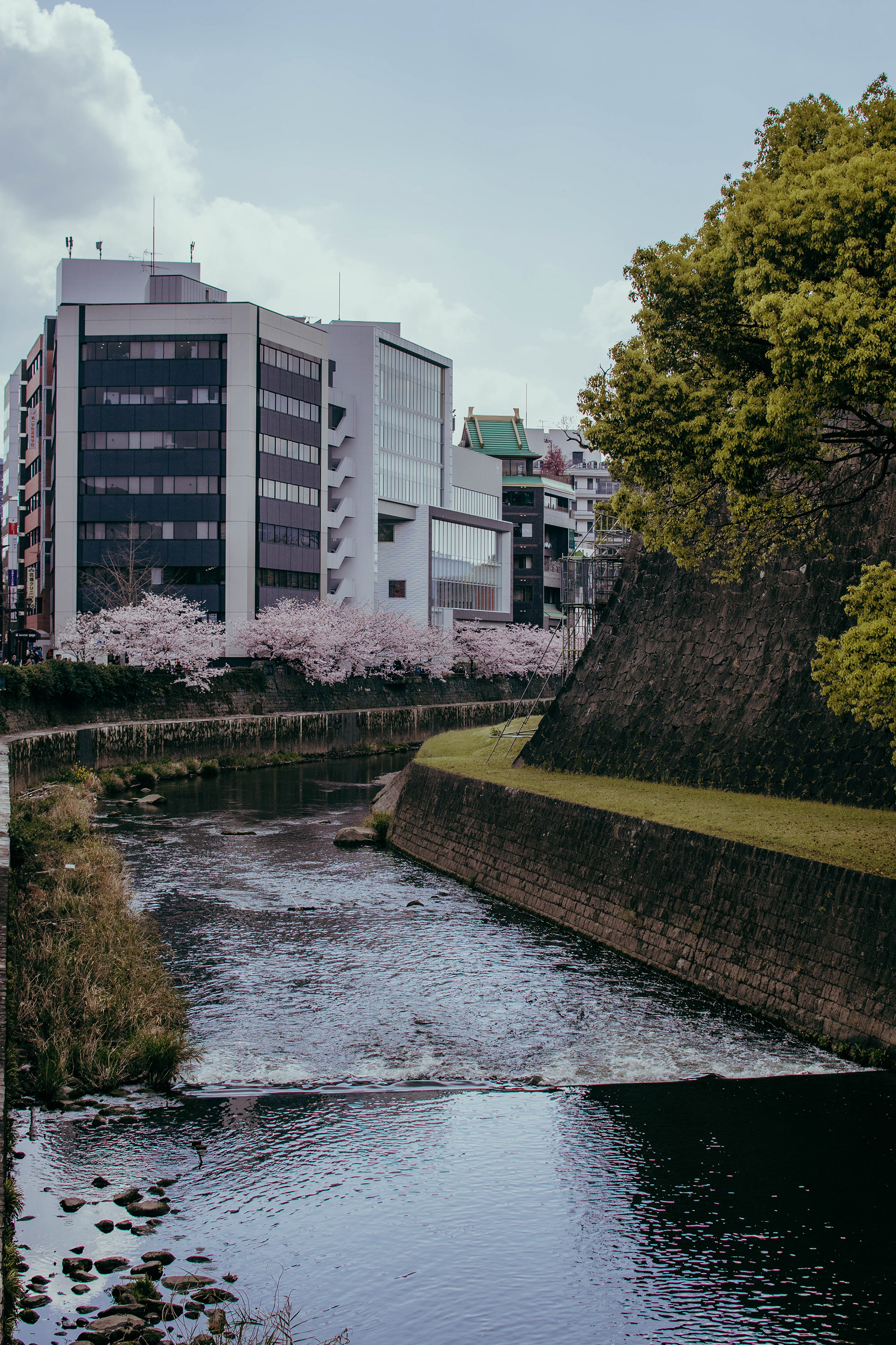 Kumamoto