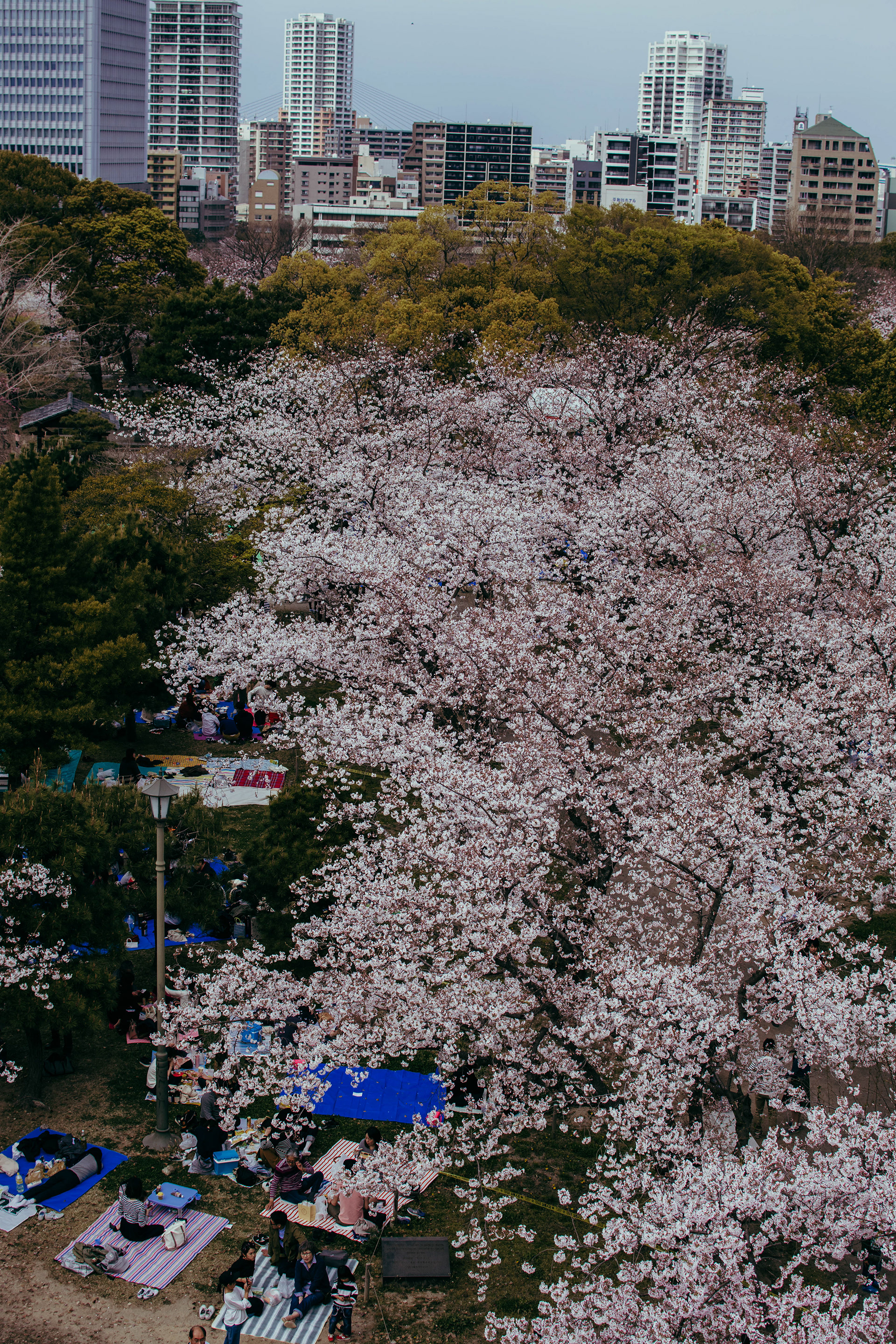 Fukuoka