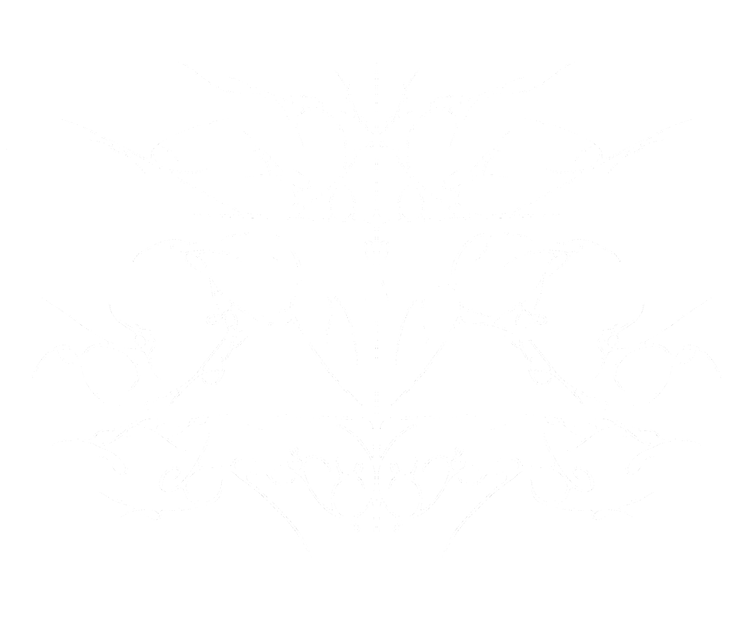 Nausea Music Group