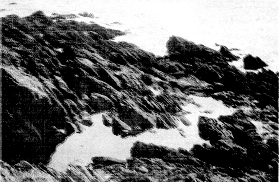 marée basse