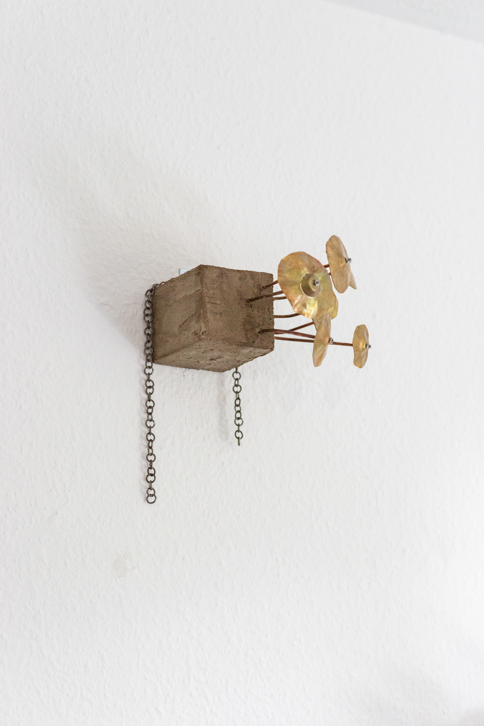 Bodie Stanley - Pleurotus II - 2025 - steel, brass, wood and concrete - 17 x 16 x 22 cm