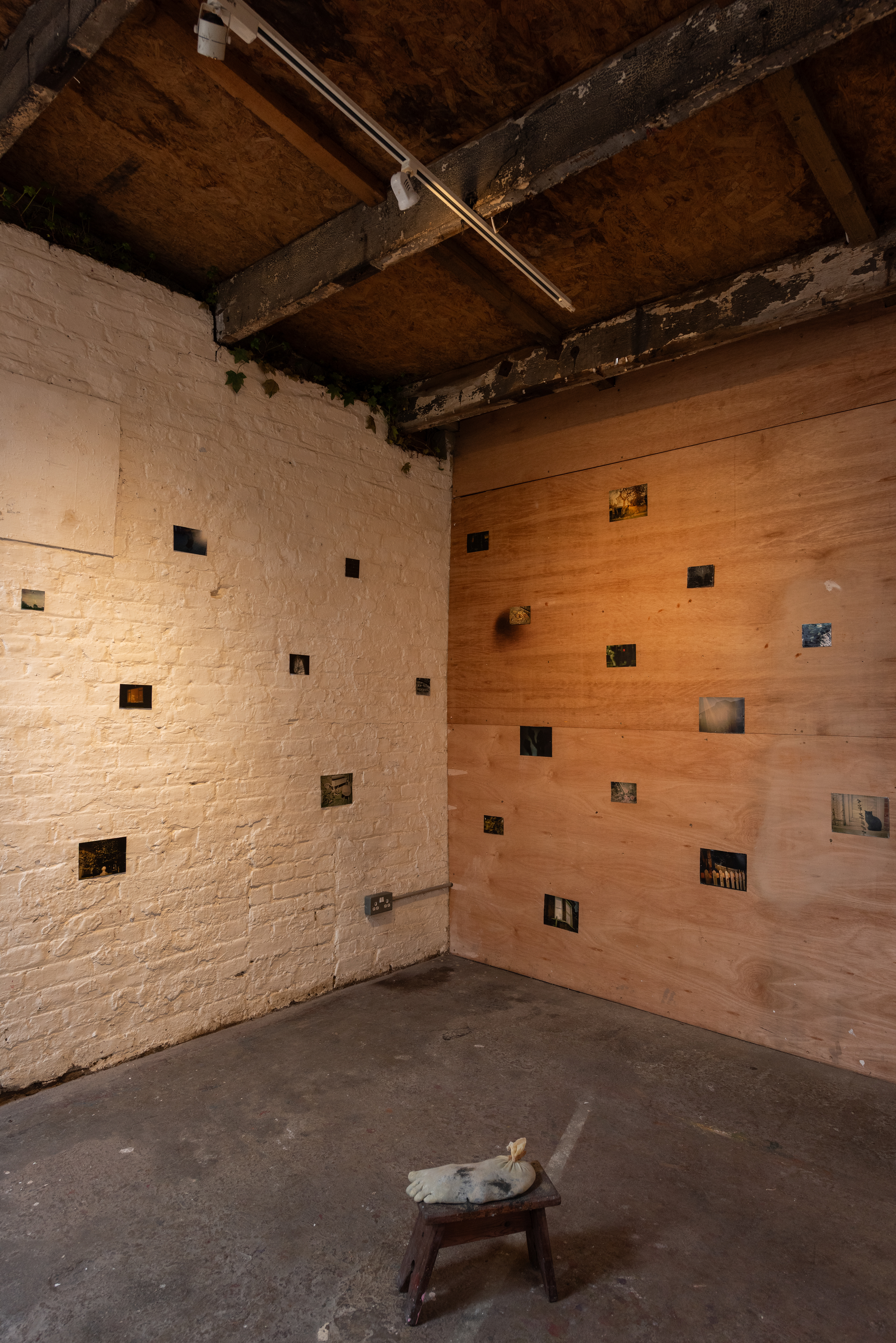Nature and Its Vendors (installation view)