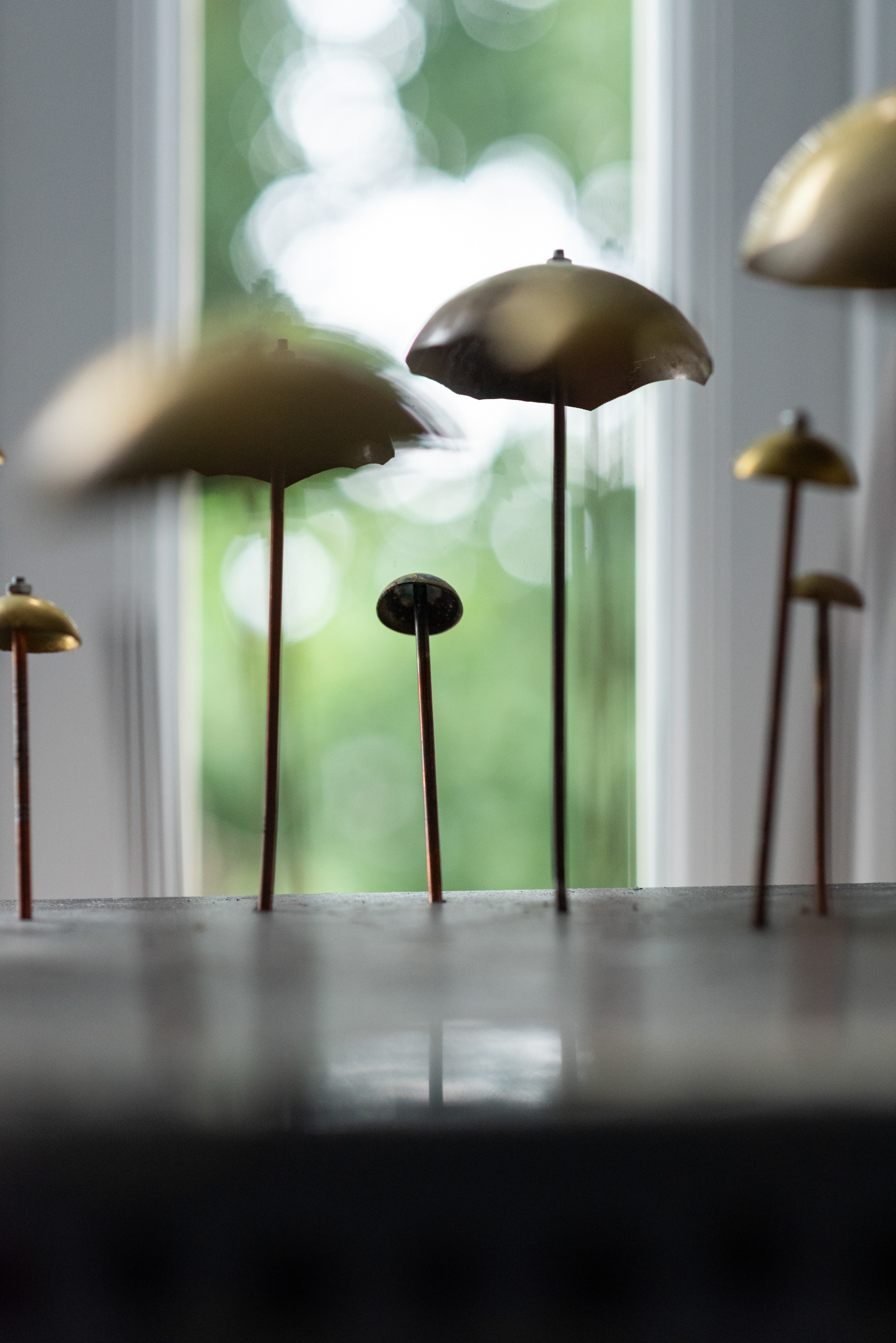 Bodie Stanley - Fairy Ring - 2025 -  (detail)