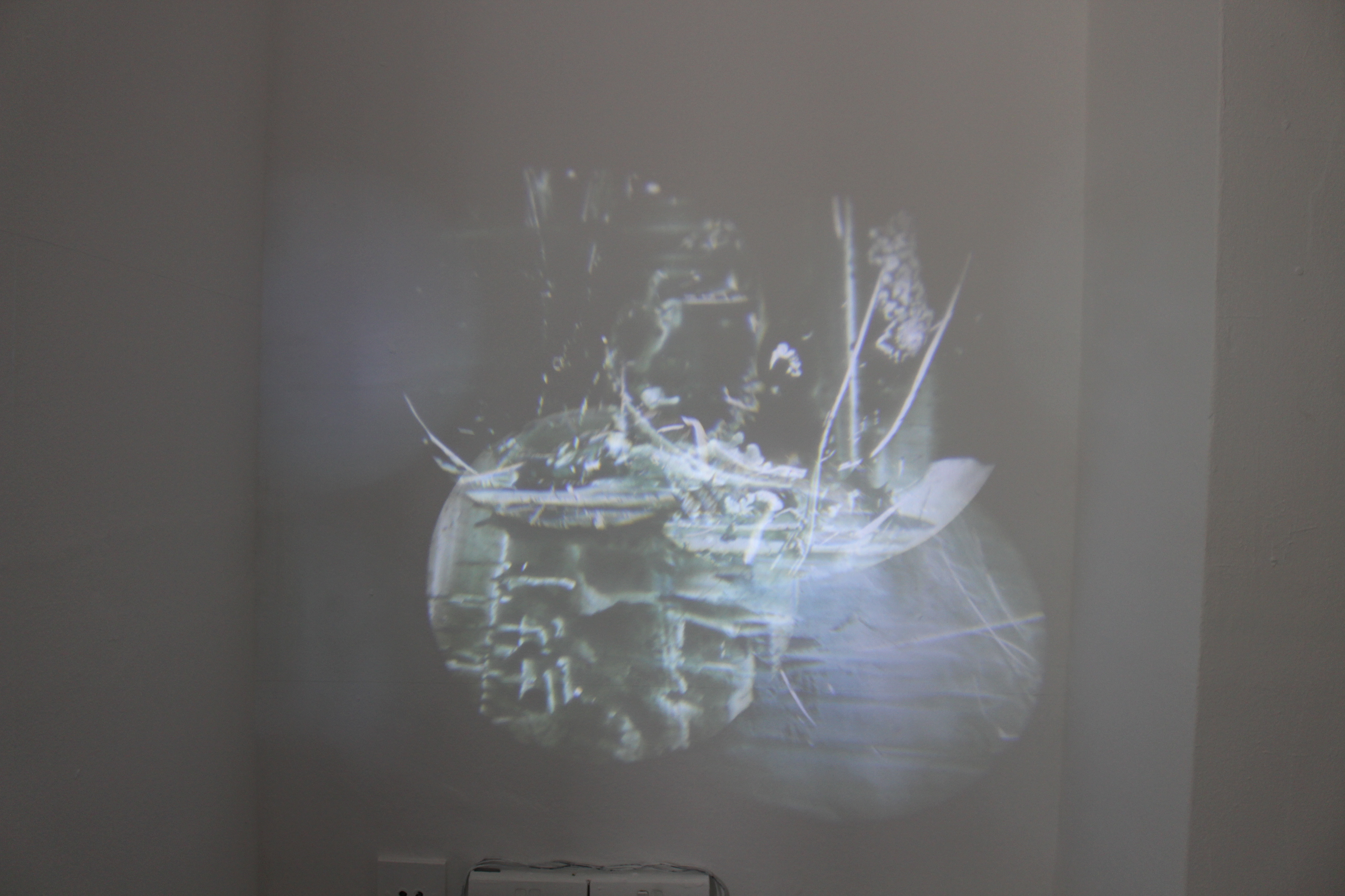 Akshay Bhoan - "Untitled" - 2024 - projection - size variable - (detail)
